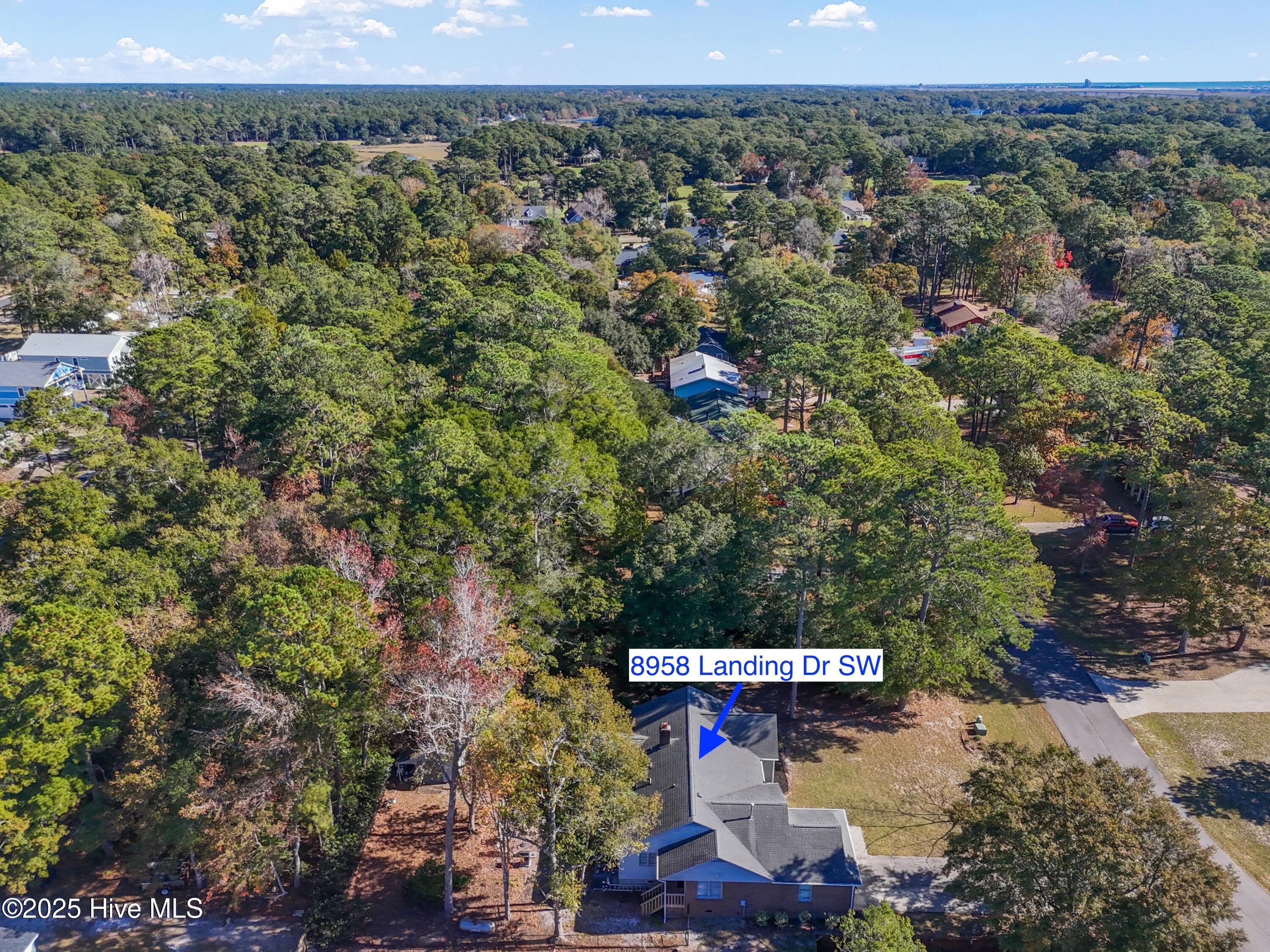 100539605 | Photo 56