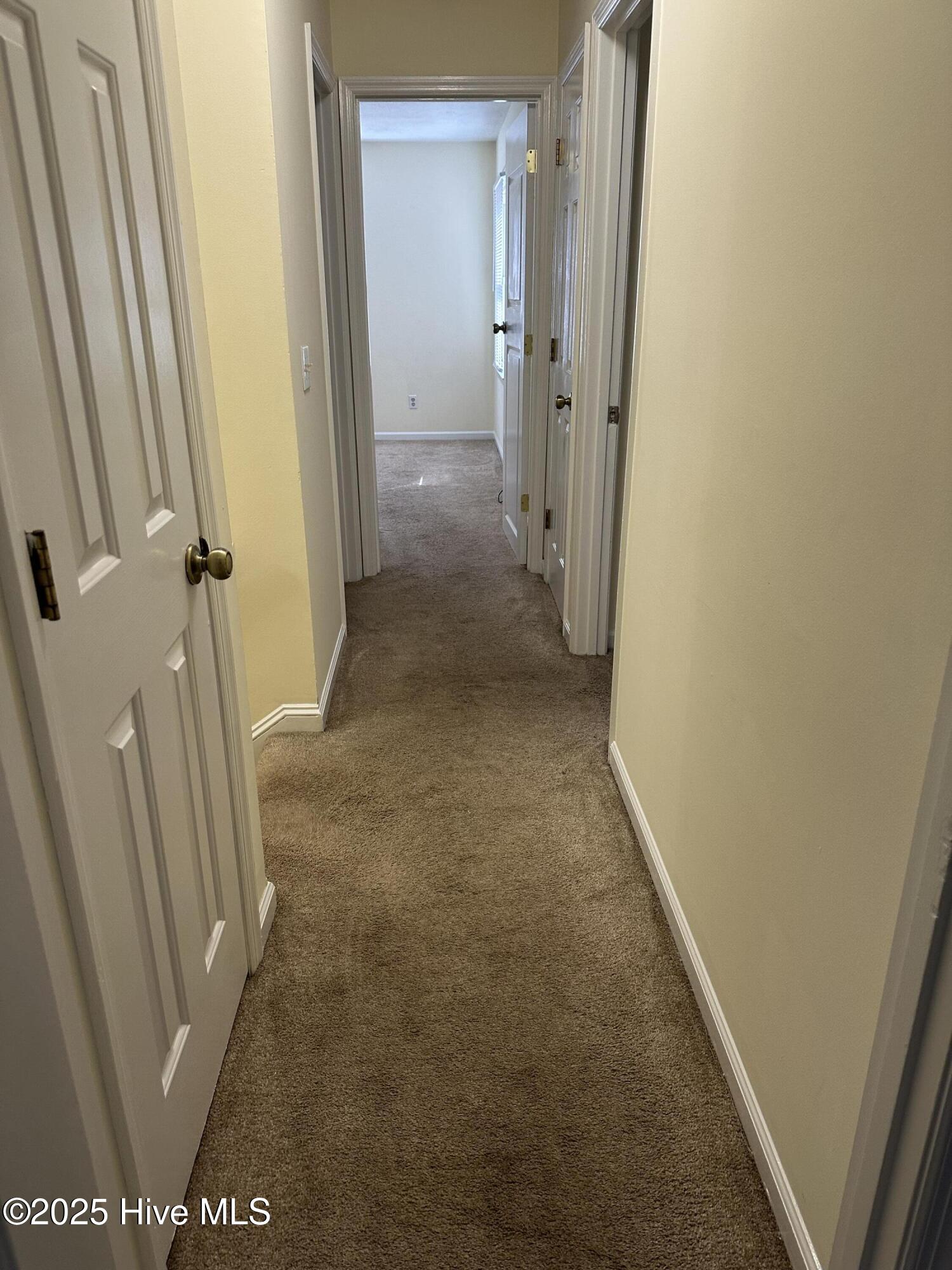 100537313 | Photo 15