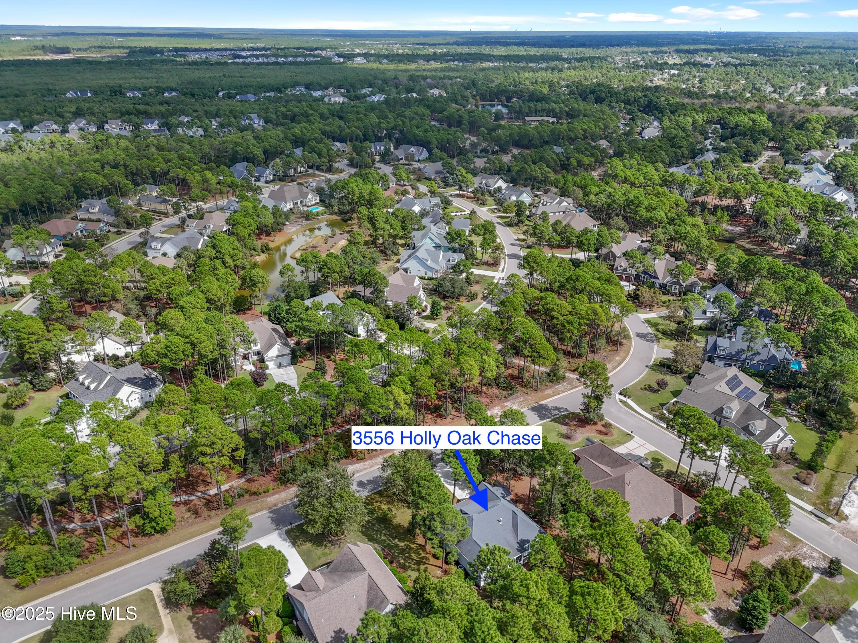 100534915 | Photo 39