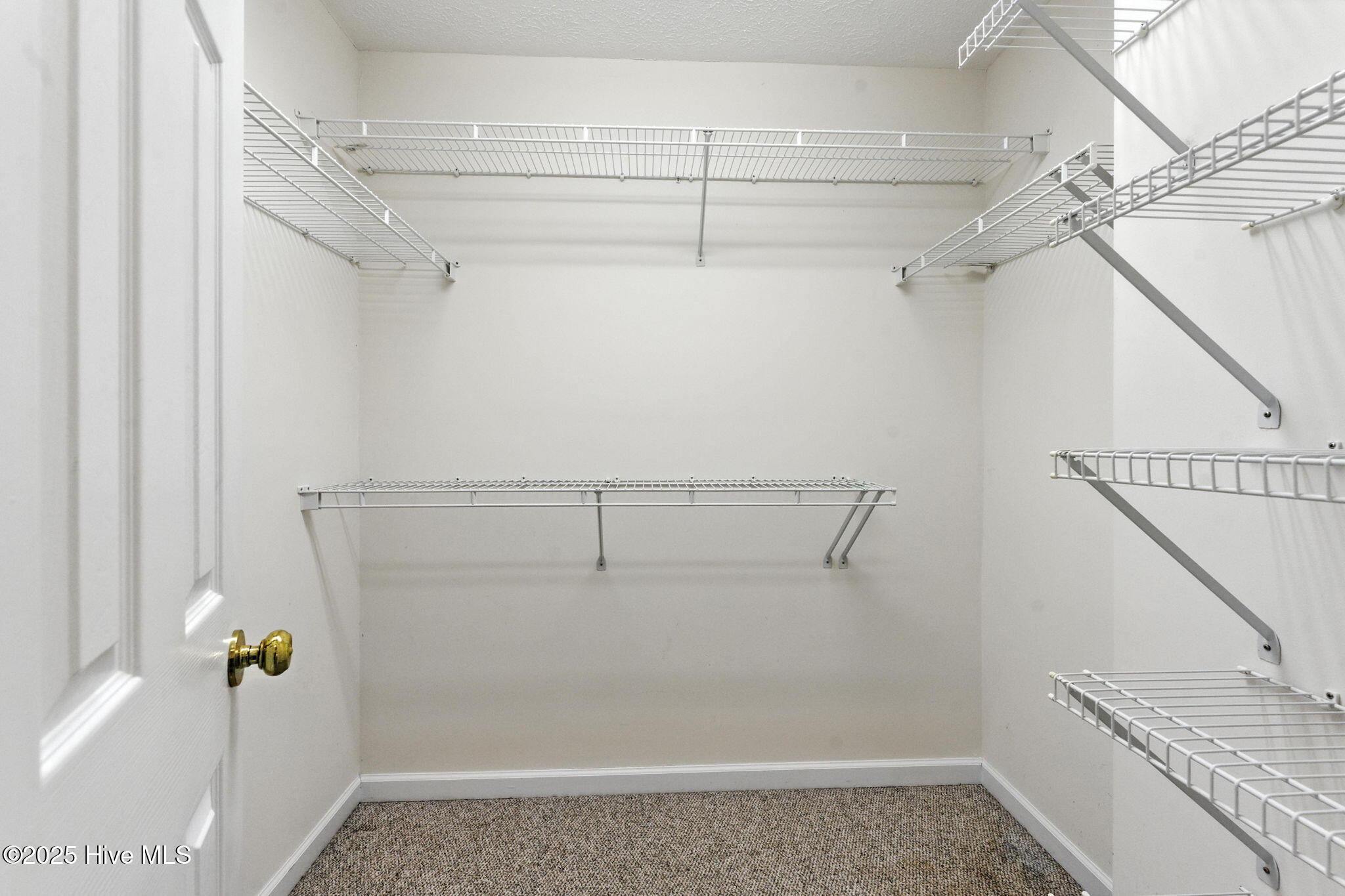 100523616 | Photo 29