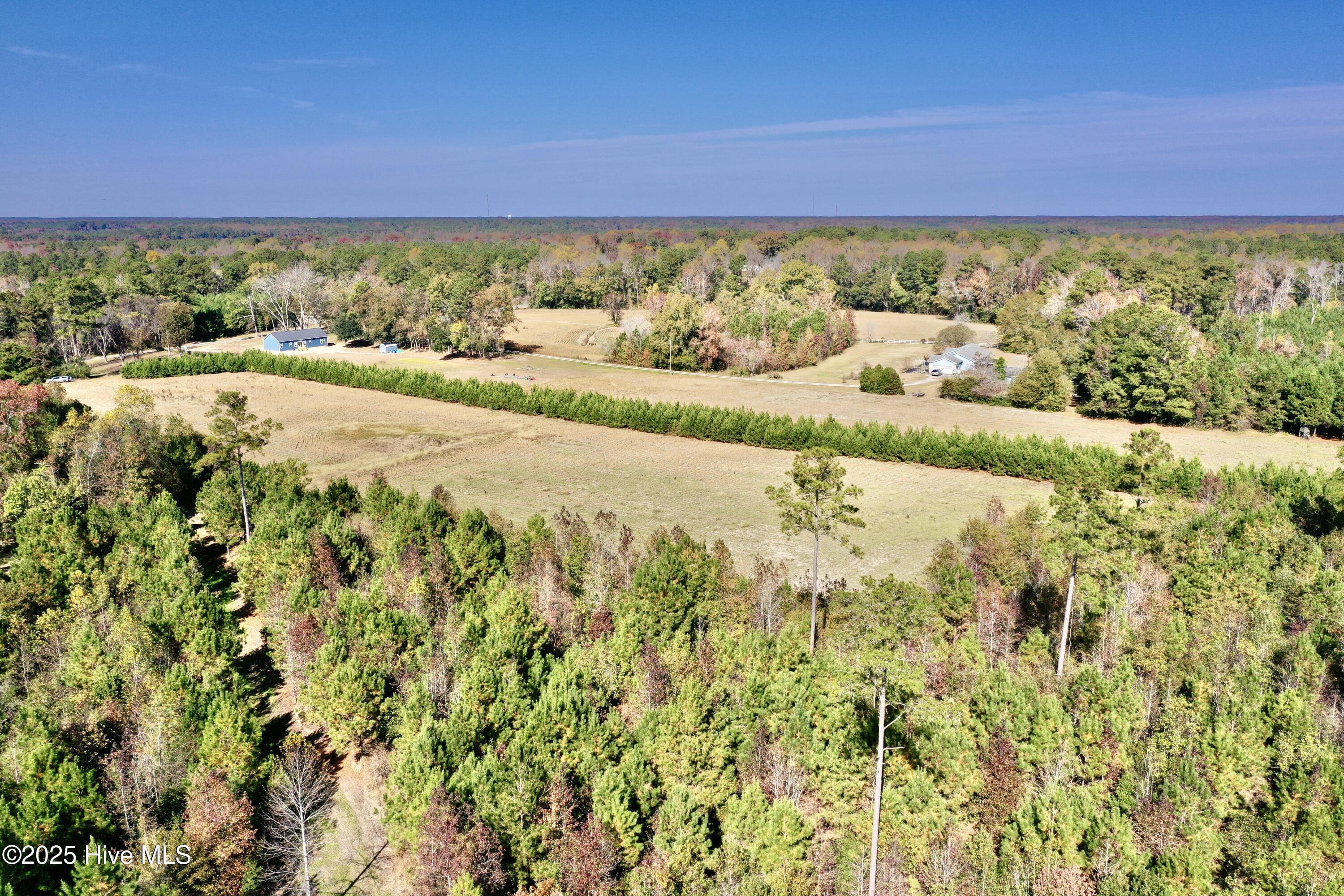 100541845 | Photo 16