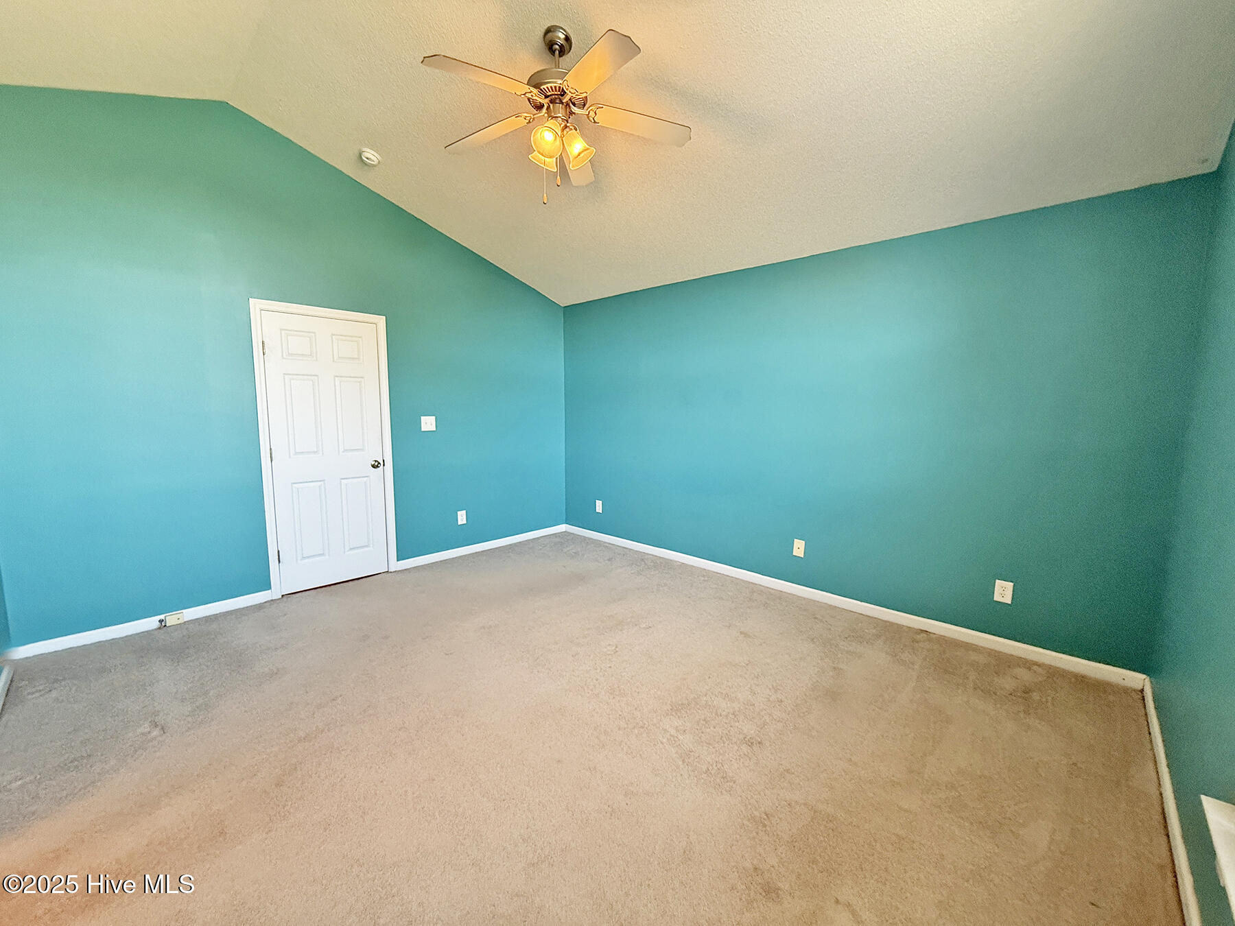 100537357 | Photo 34