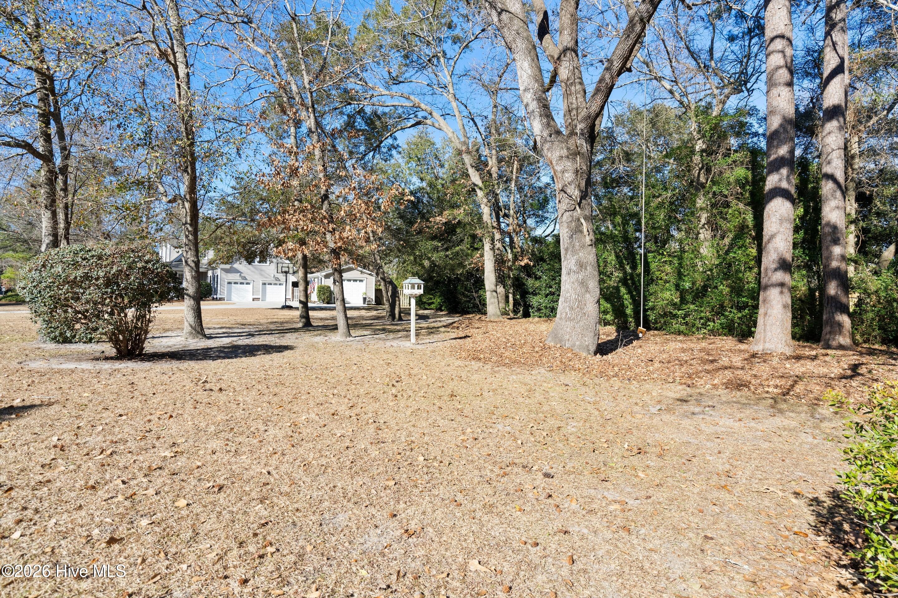 100549669 | Photo 70