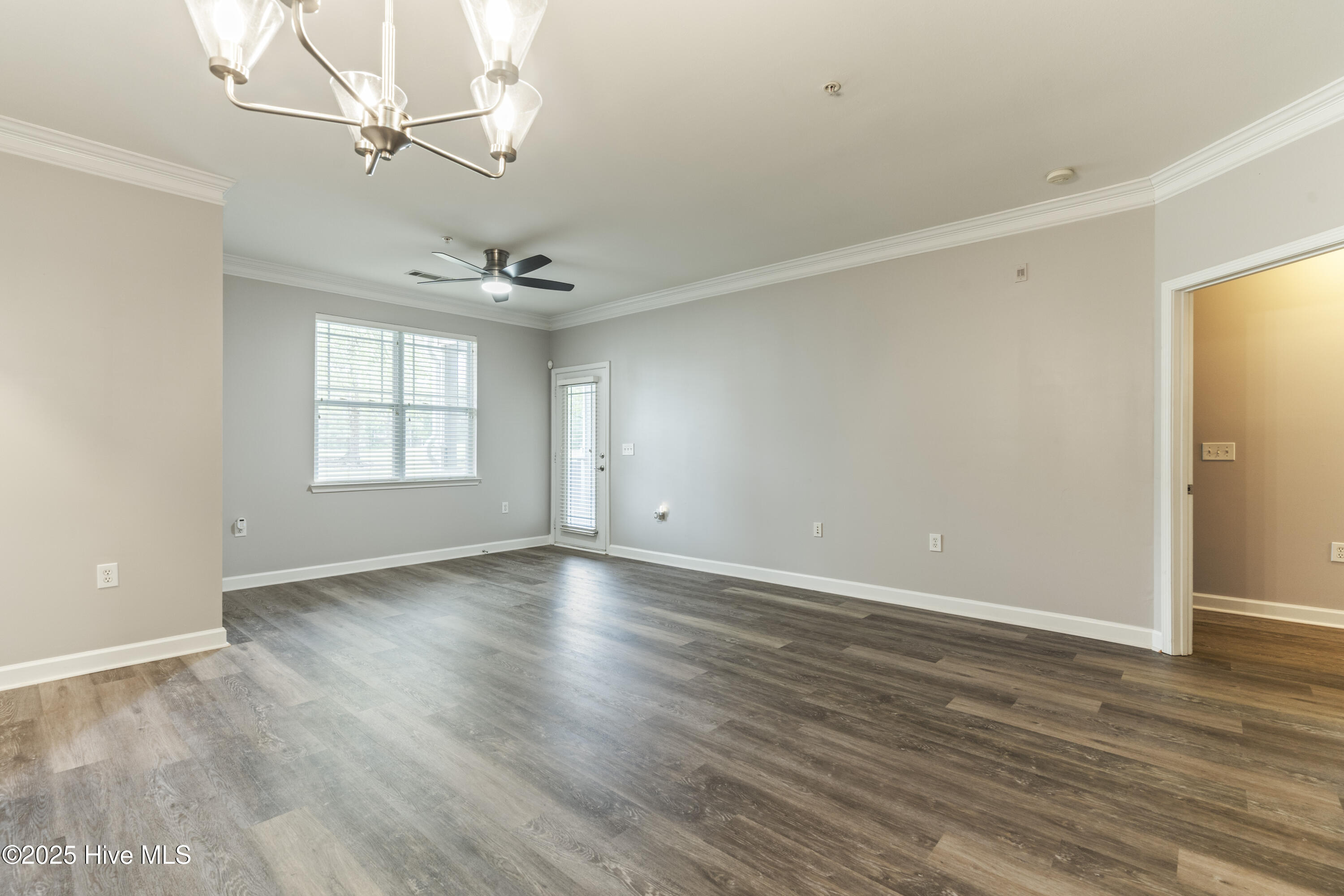 100564335 | Photo 13