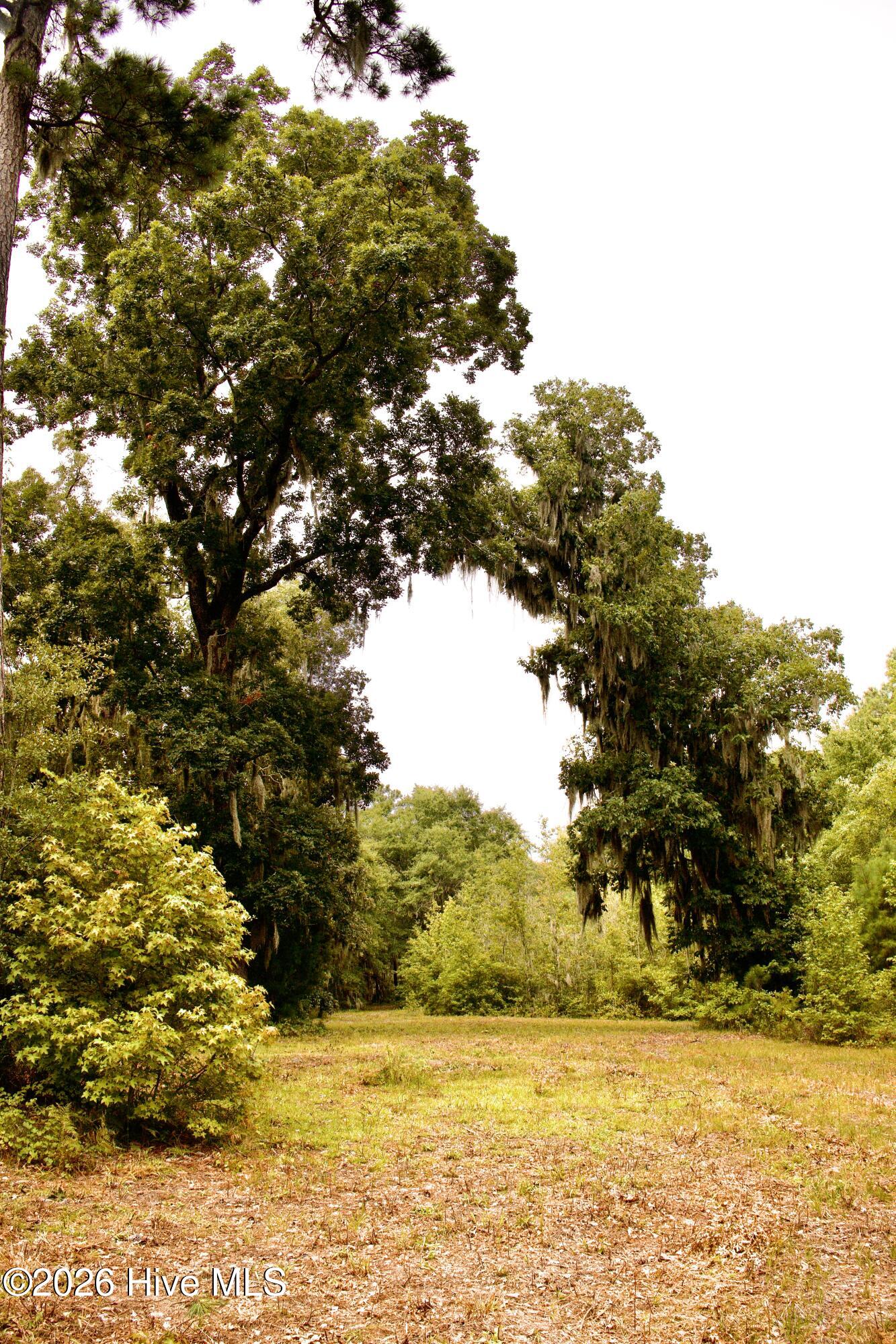 385 Sand Ridge Road,New Bern