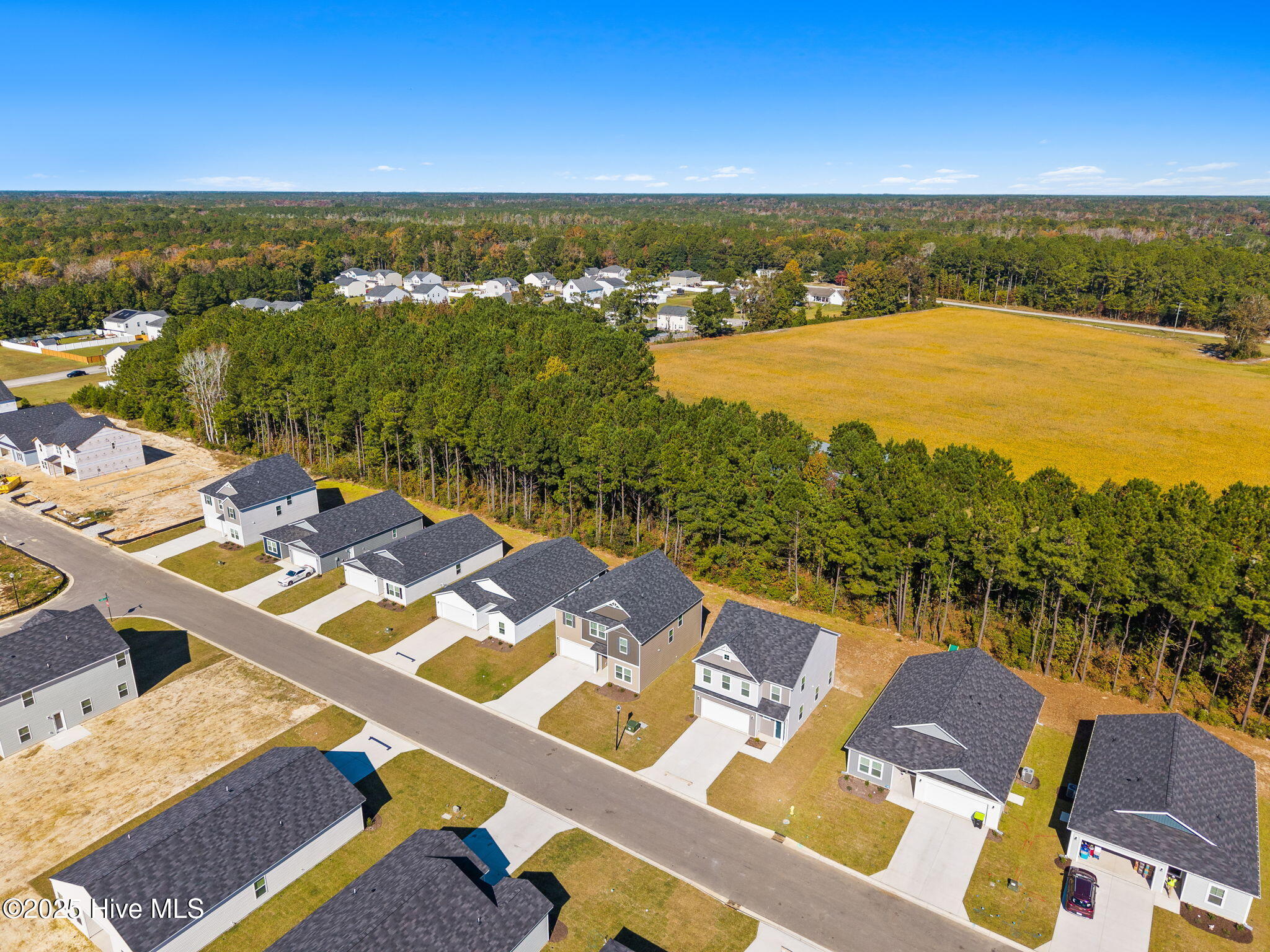 100521892 | Photo 46