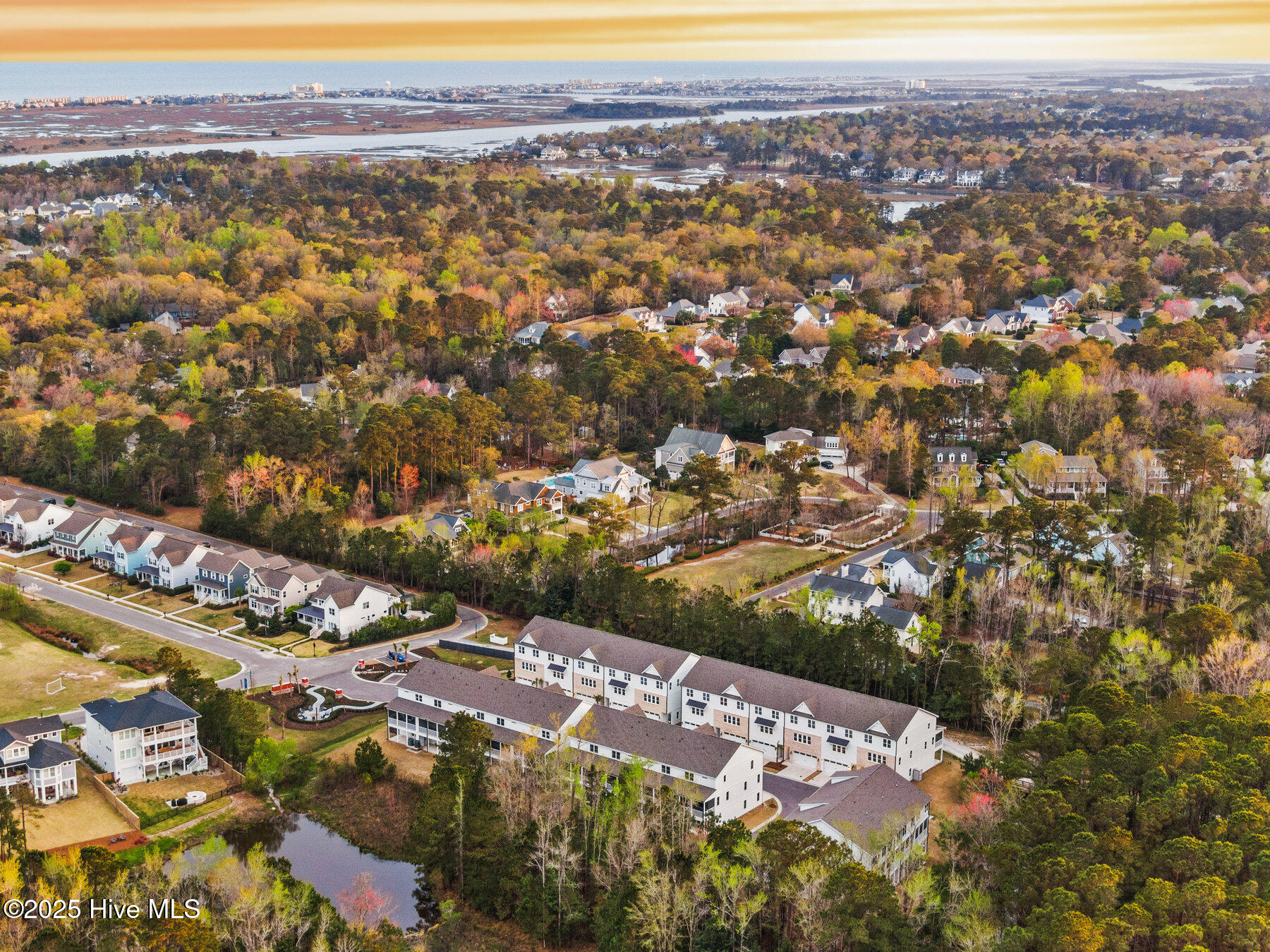 100524415 | Photo 17