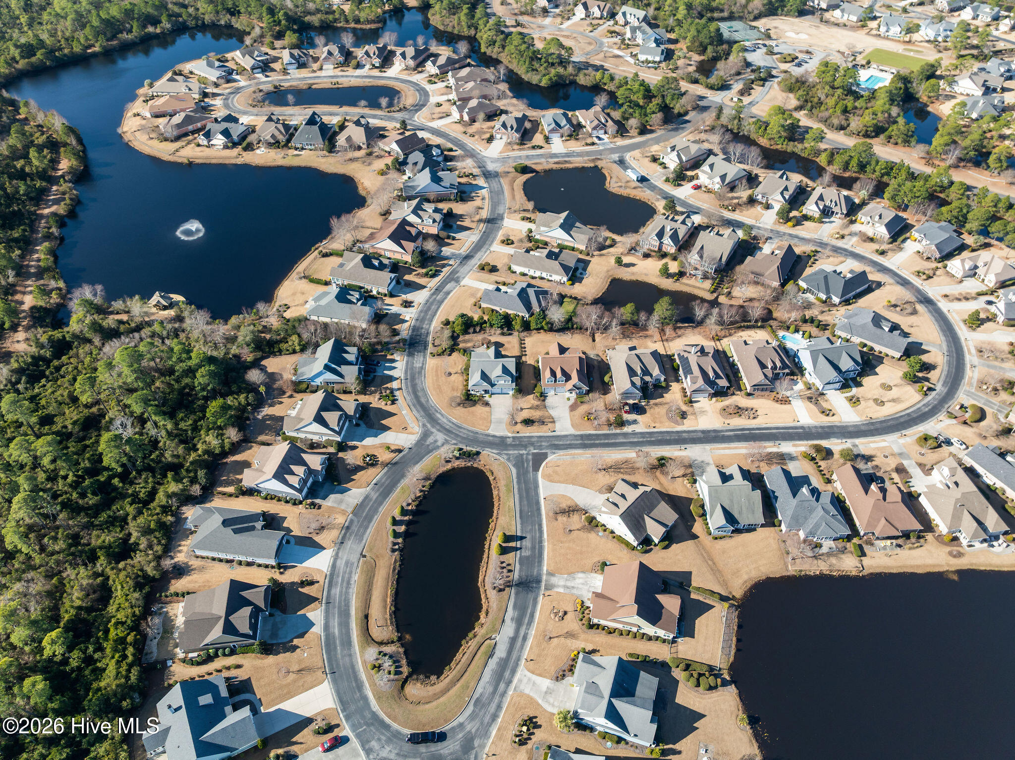 100554560 | Photo 57