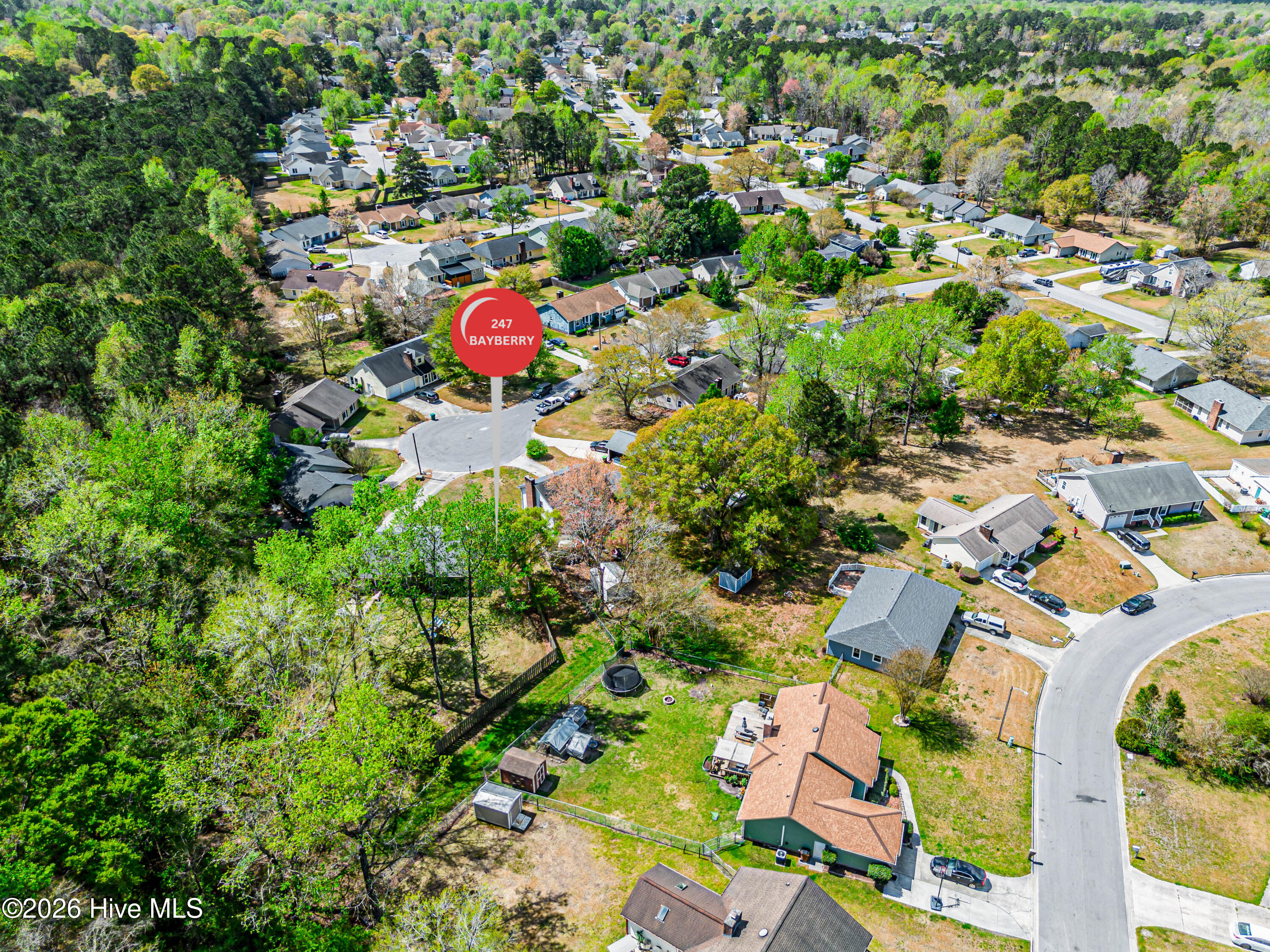 100569074 | Photo 67