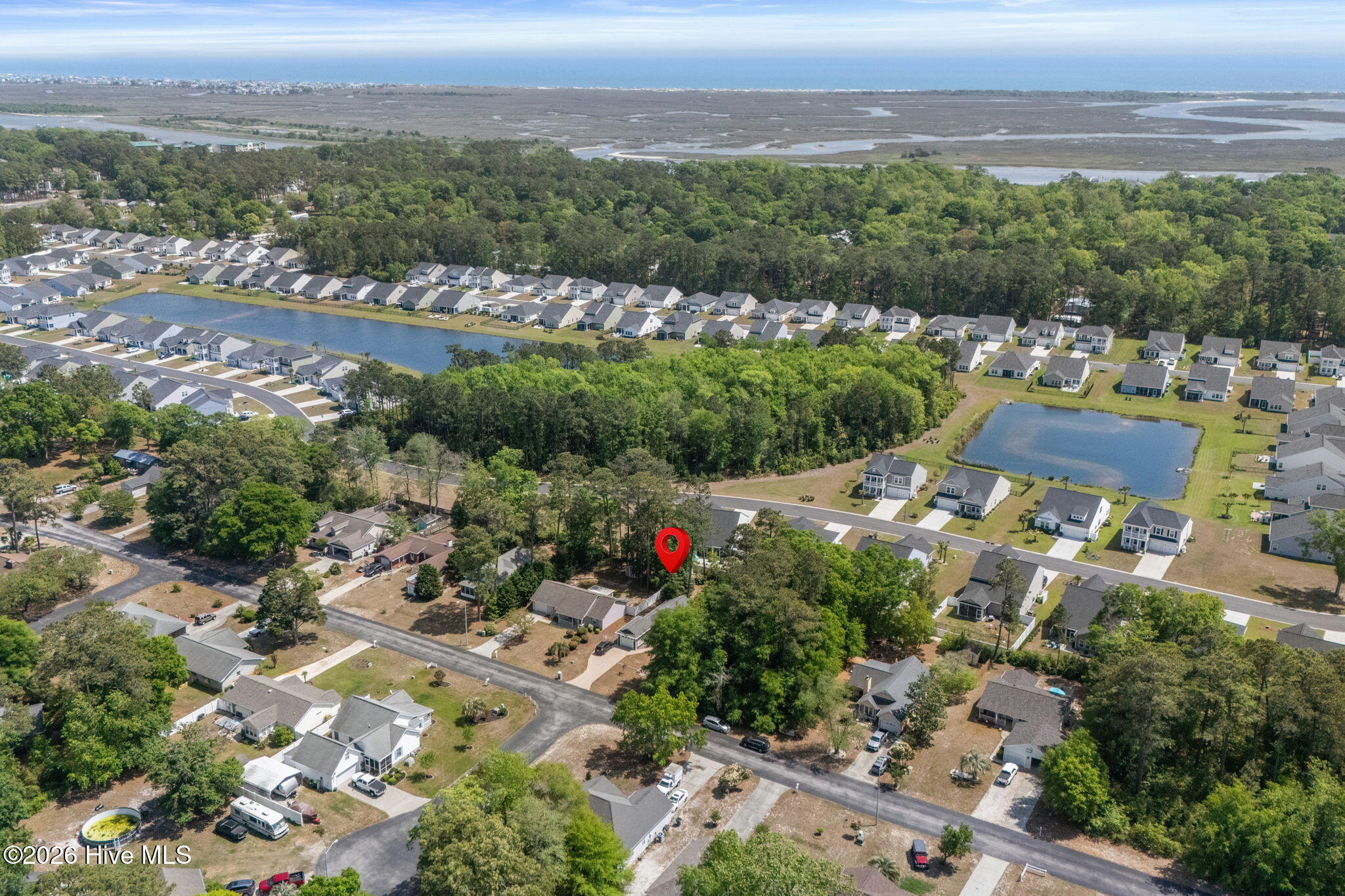 100568213 | Photo 45