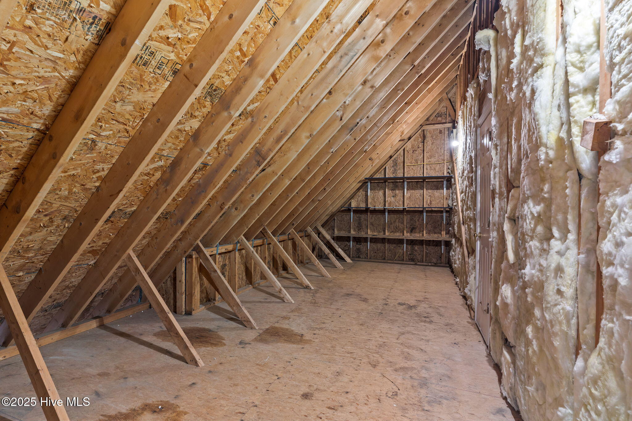 100538095 | Photo 38