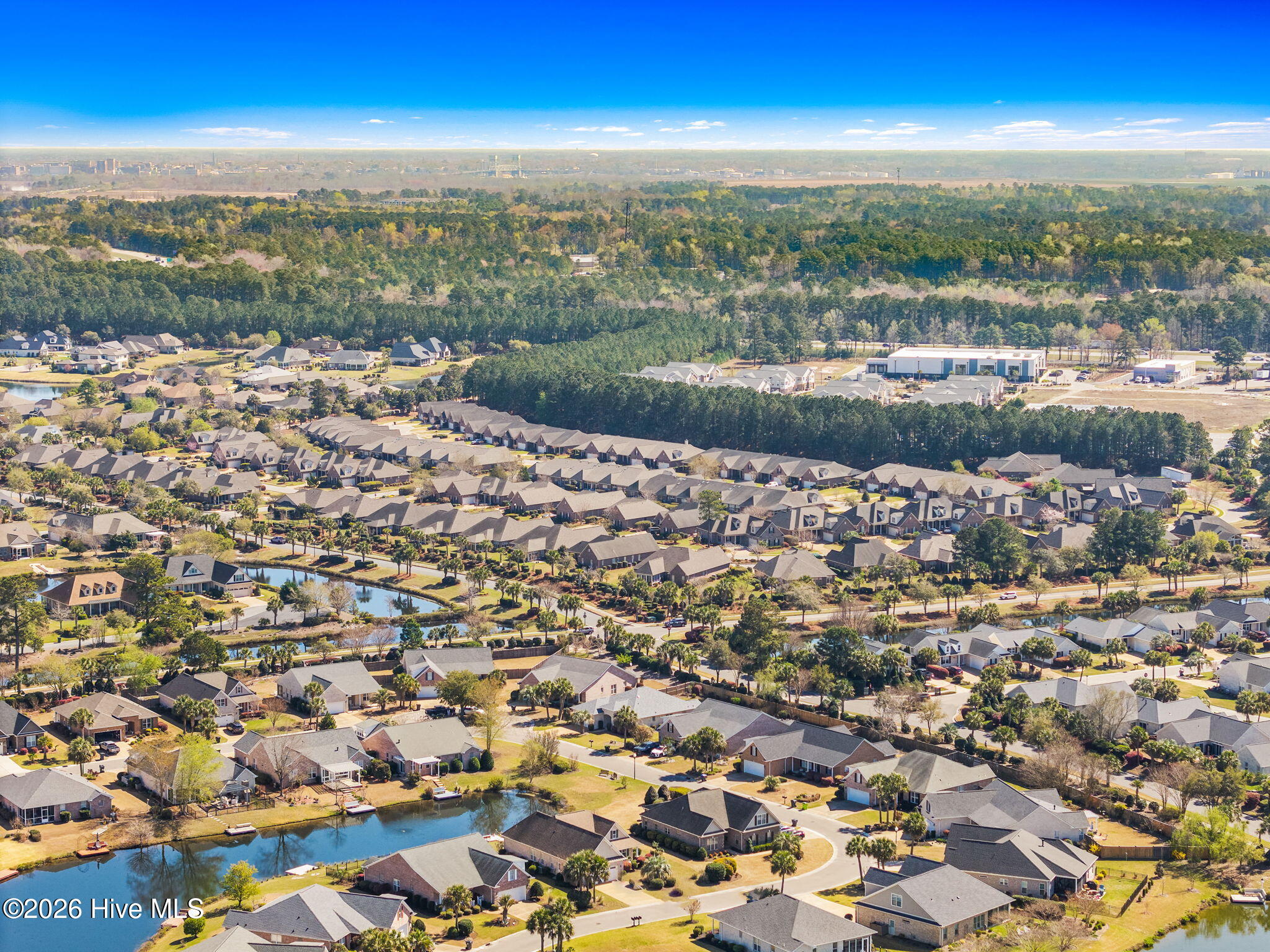 100562365 | Photo 30