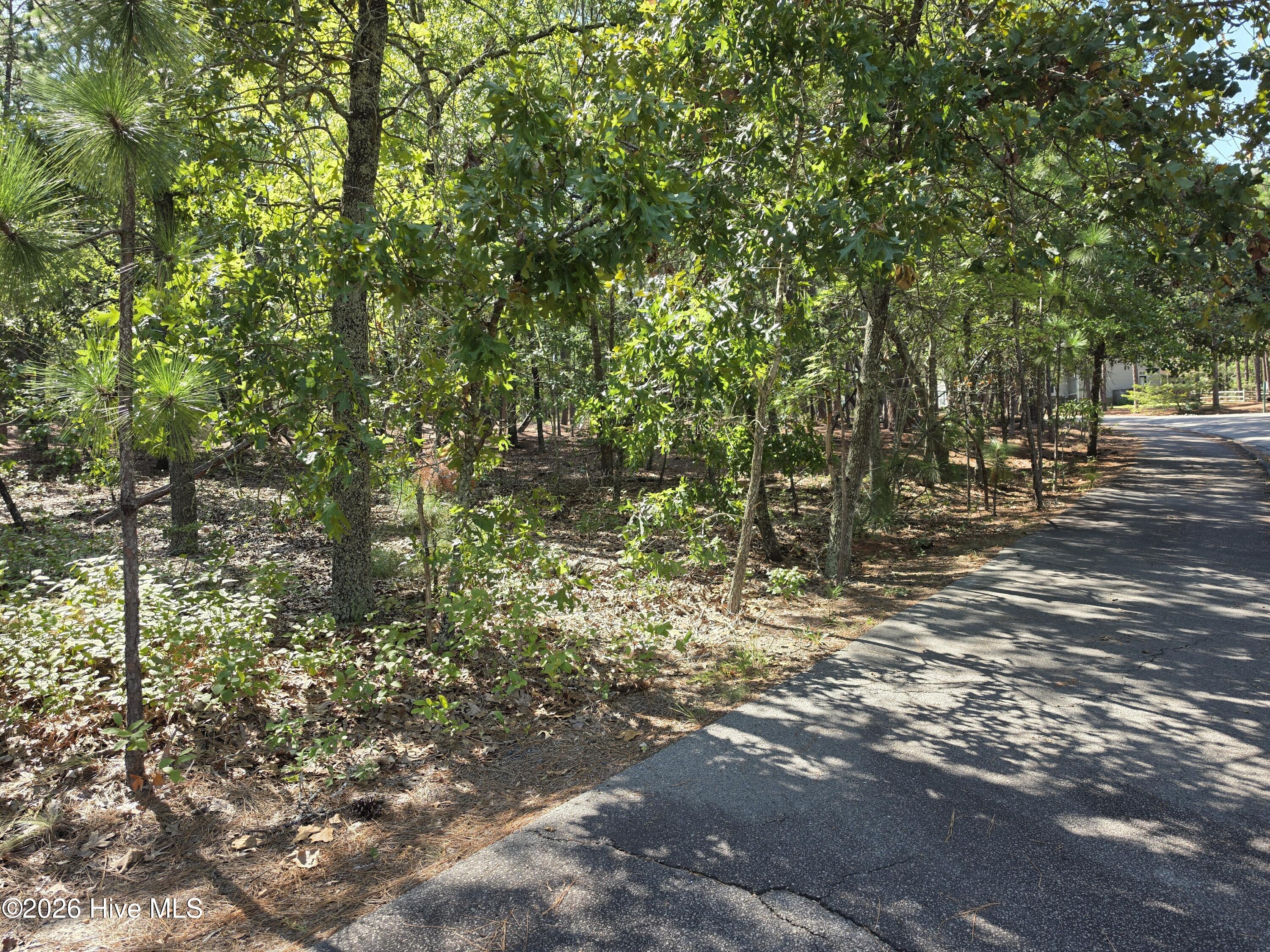 100602154 | Photo 2