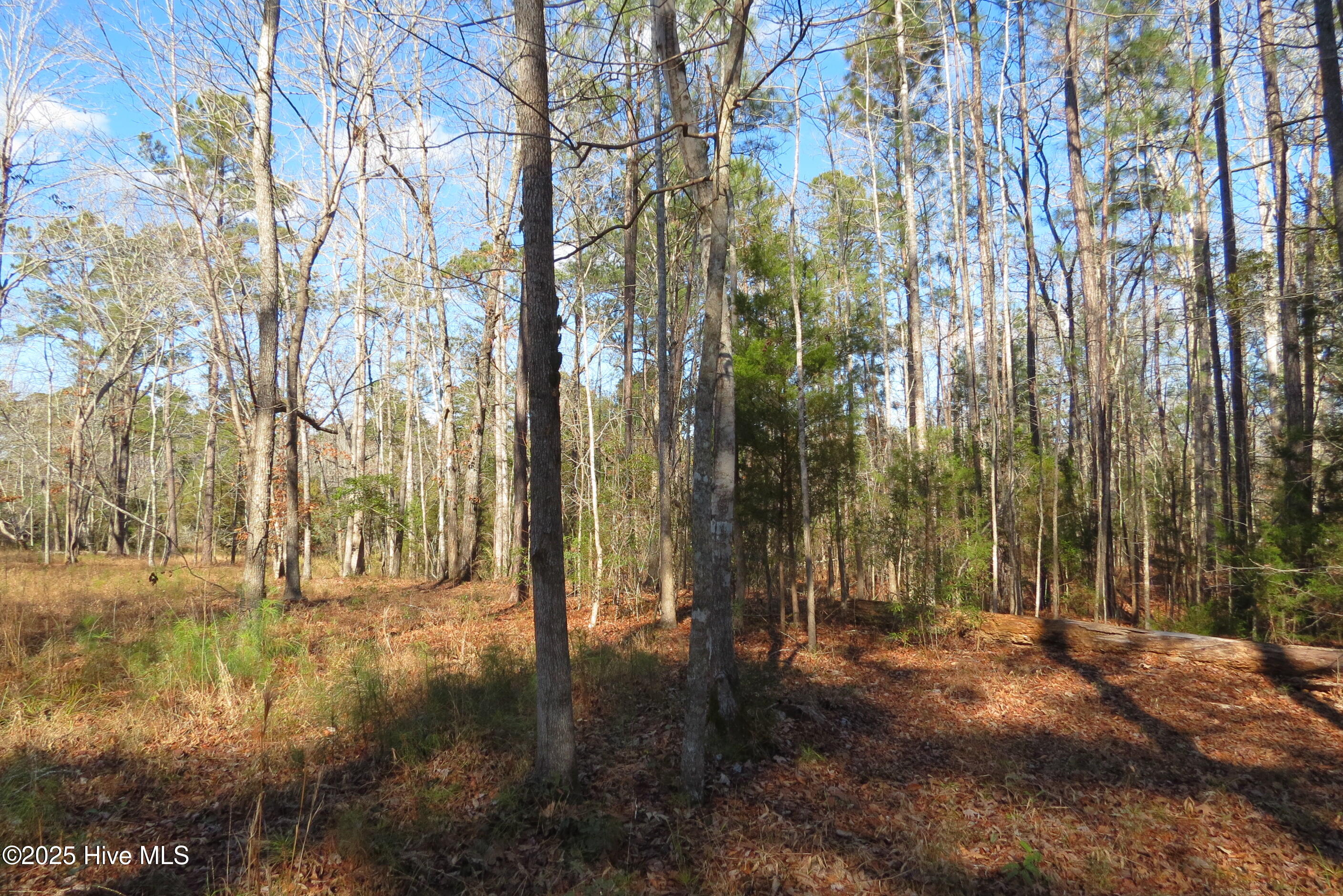 109 Winding Creek Drive, Oriental, NC, 28571