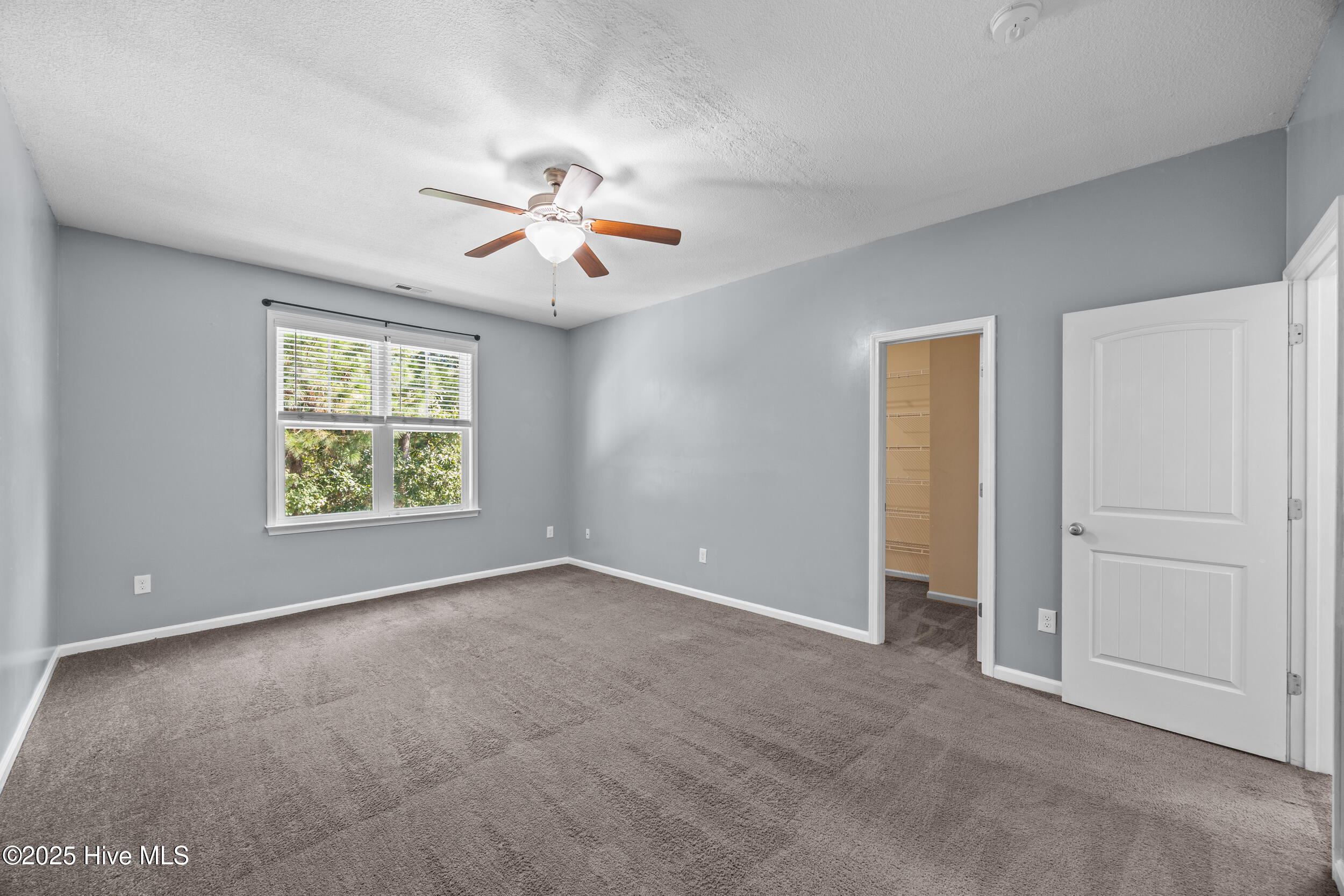 100538119 | Photo 21