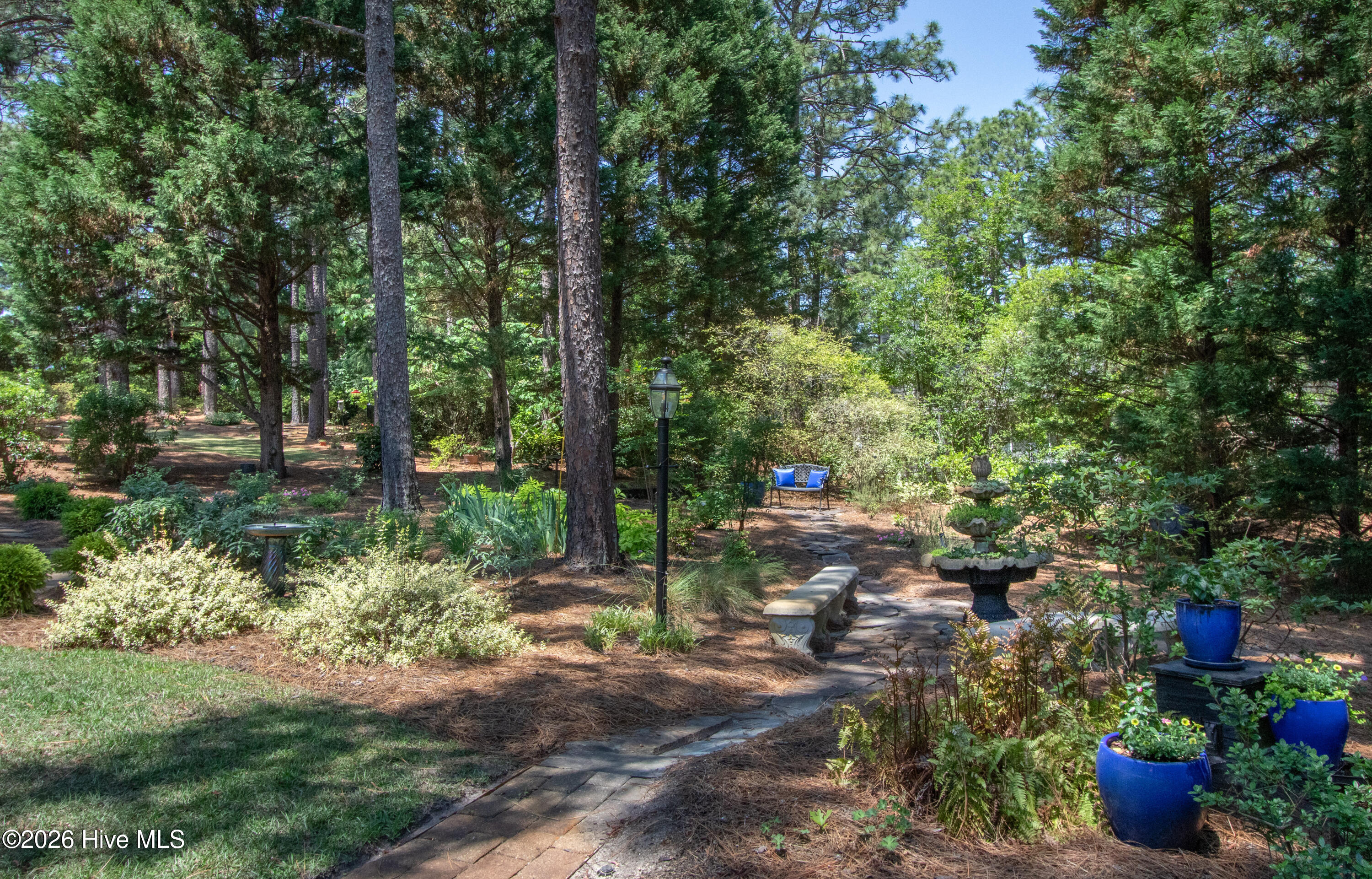 BackYard6