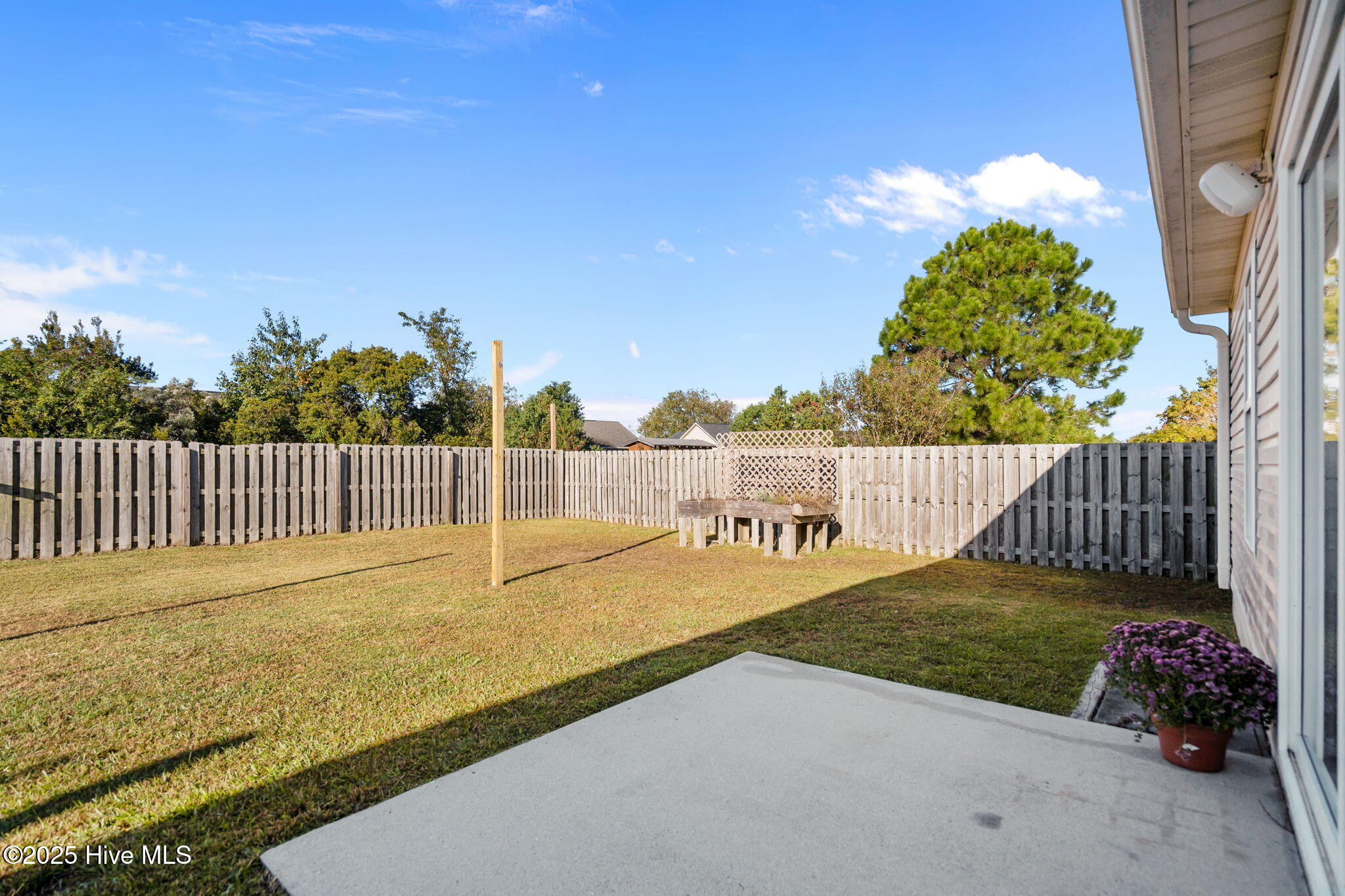 100537521 | Photo 34