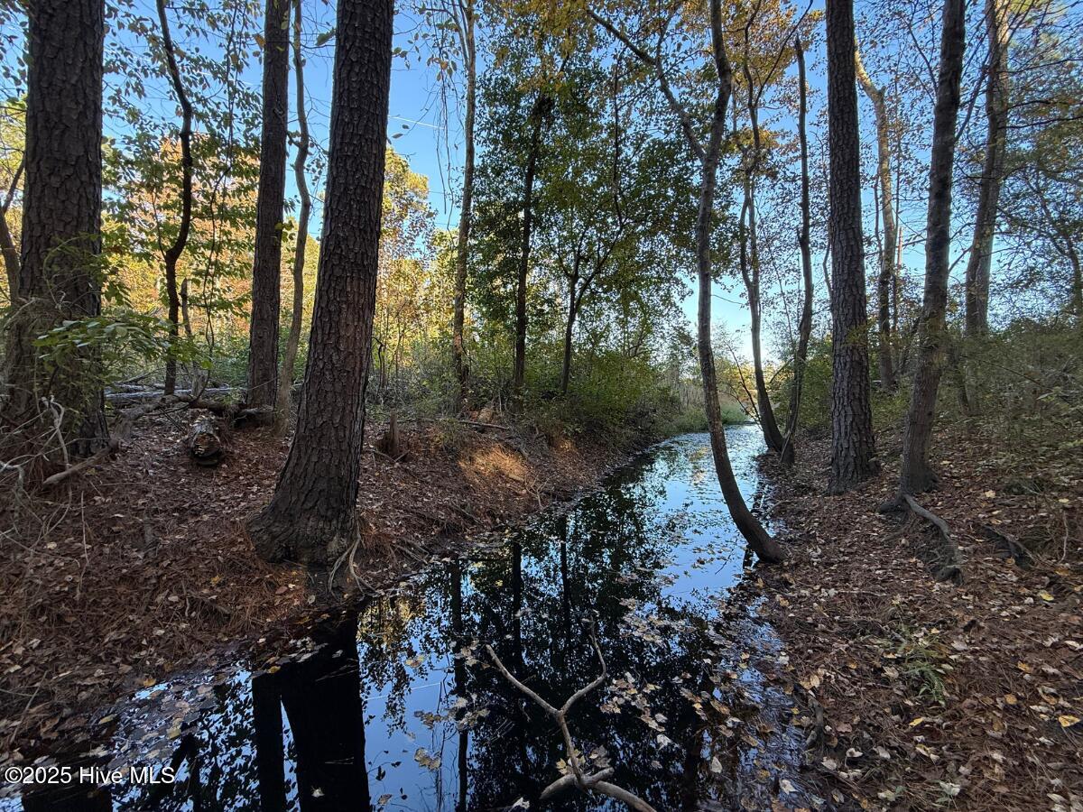 100540348 | Photo 32