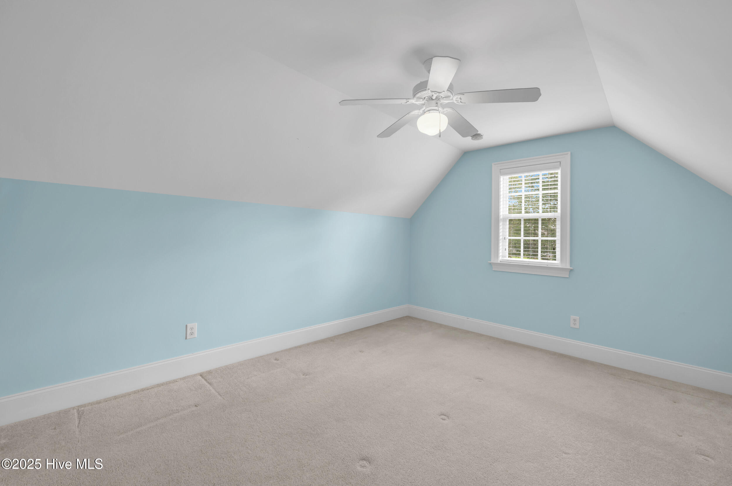 100514630 | Photo 39