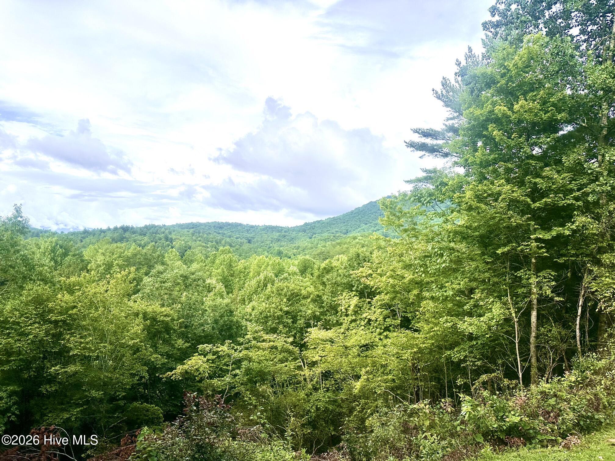 88 Upper Ridge Road, Marble, NC 28905
