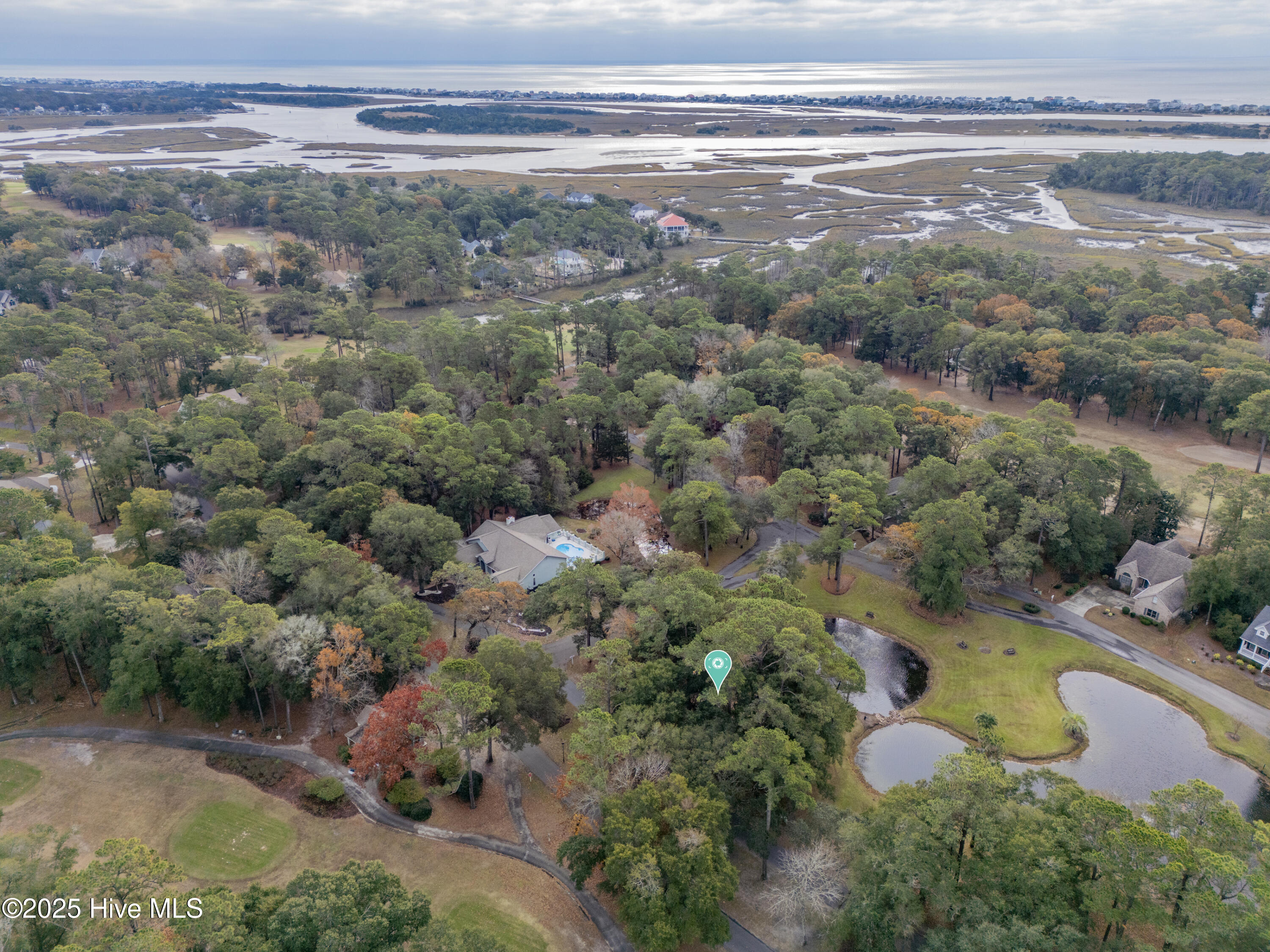 100542577 | Photo 20