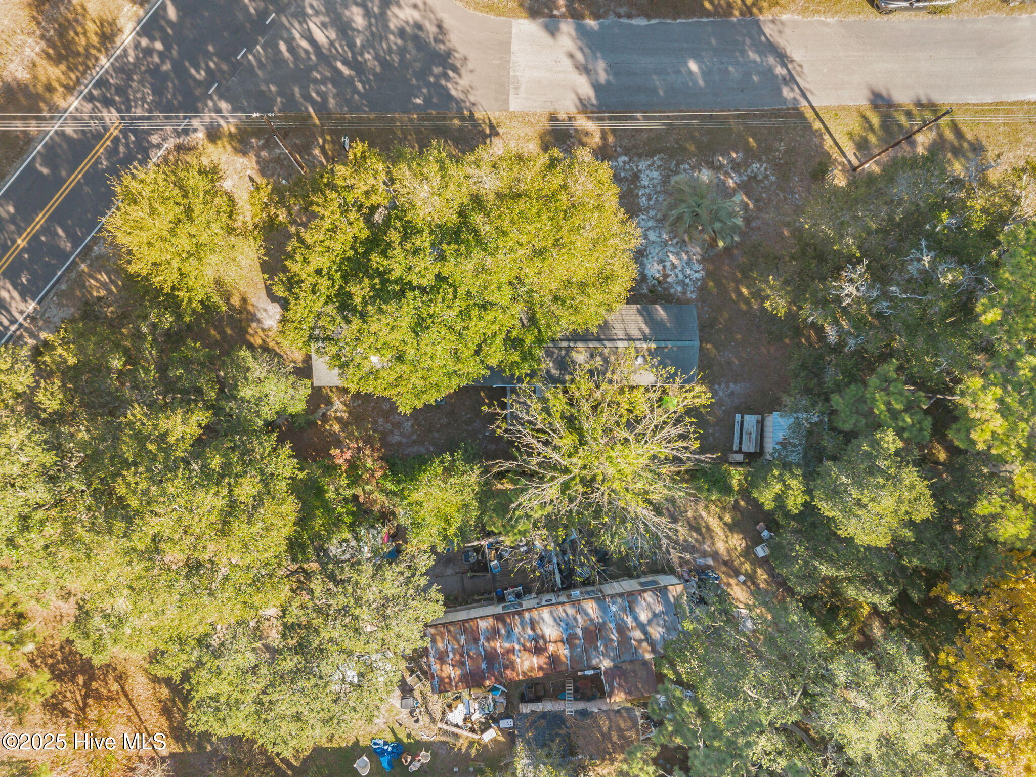 100541856 | Photo 32