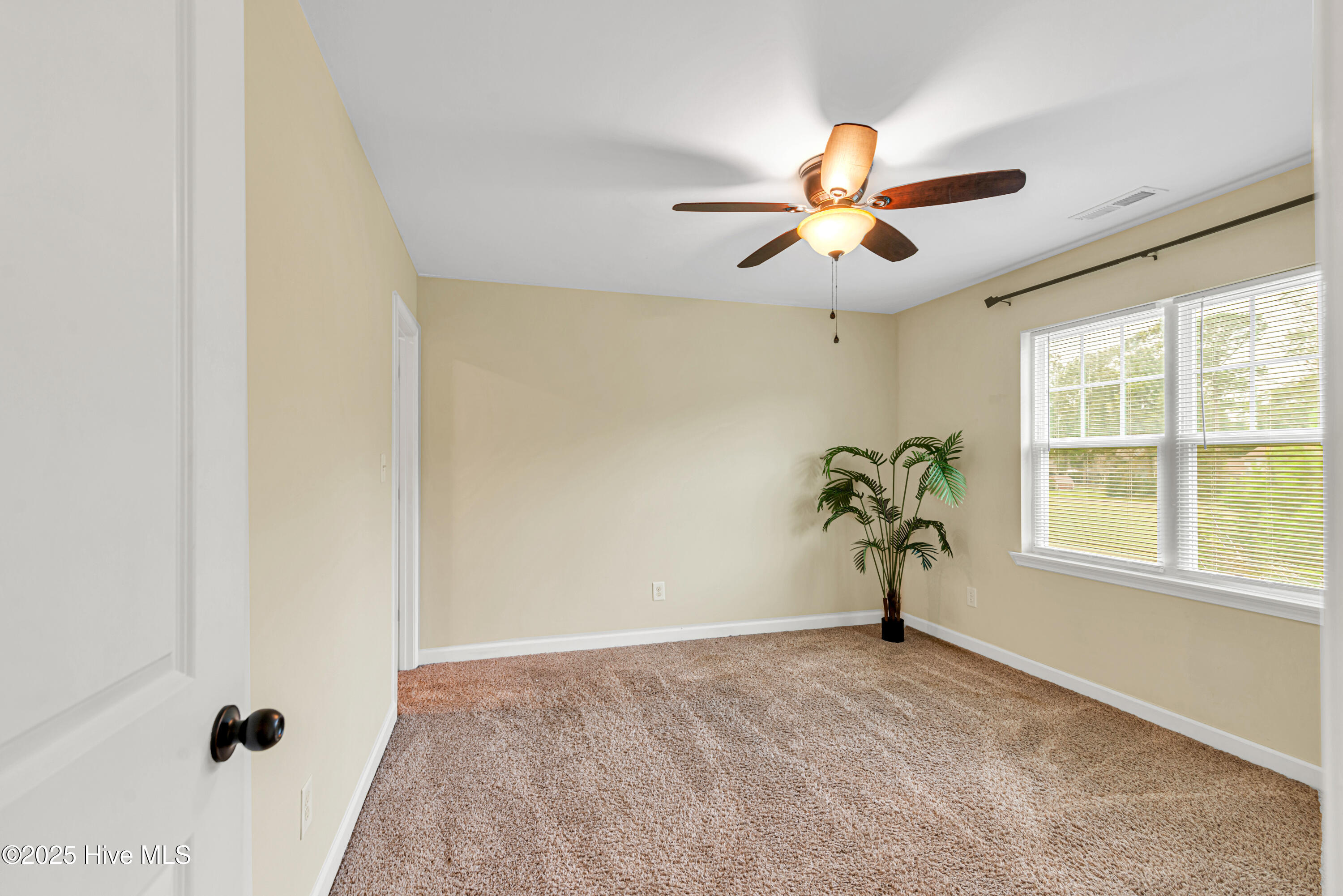 100556038 | Photo 29