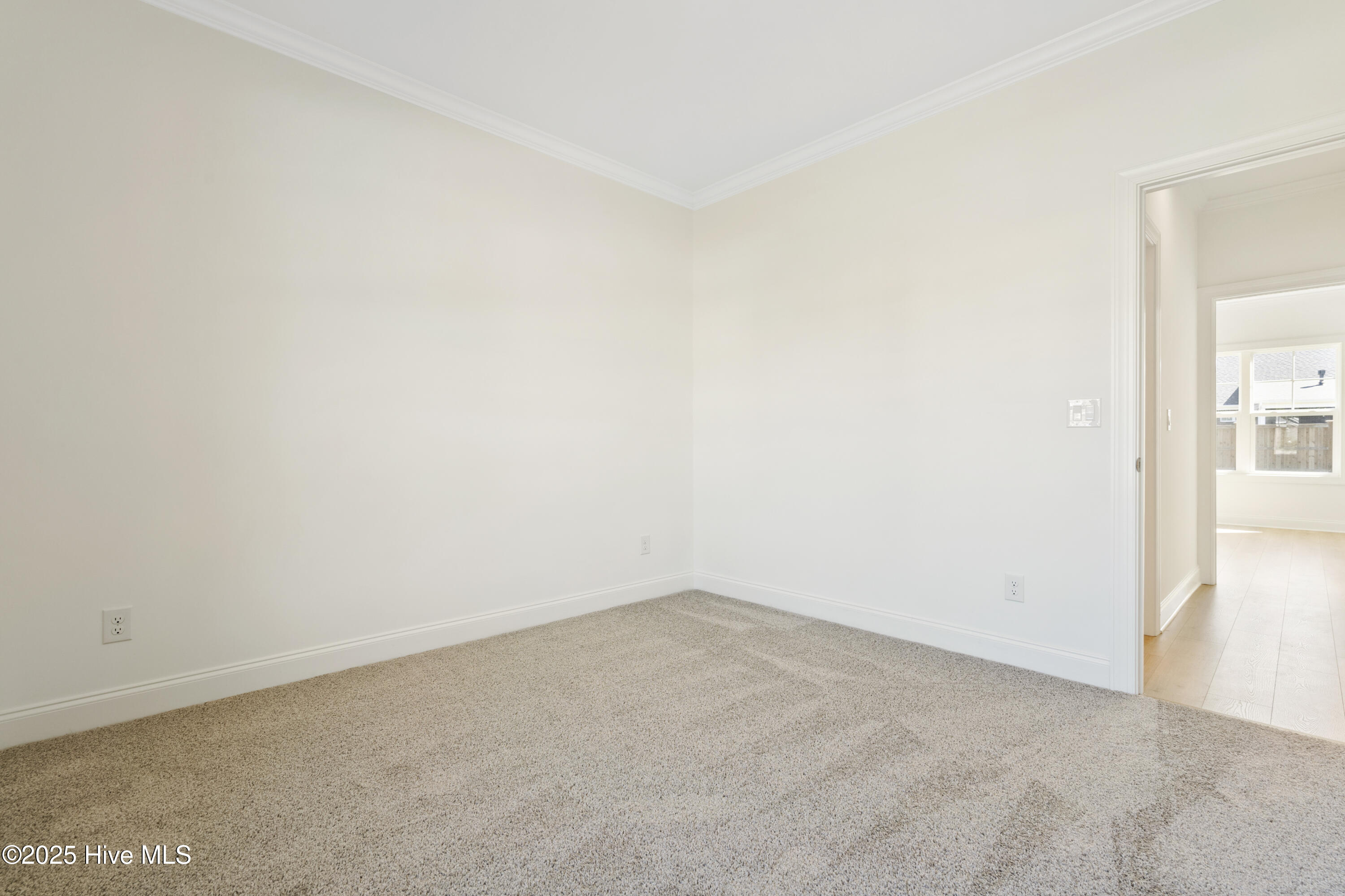 100517752 | Photo 26