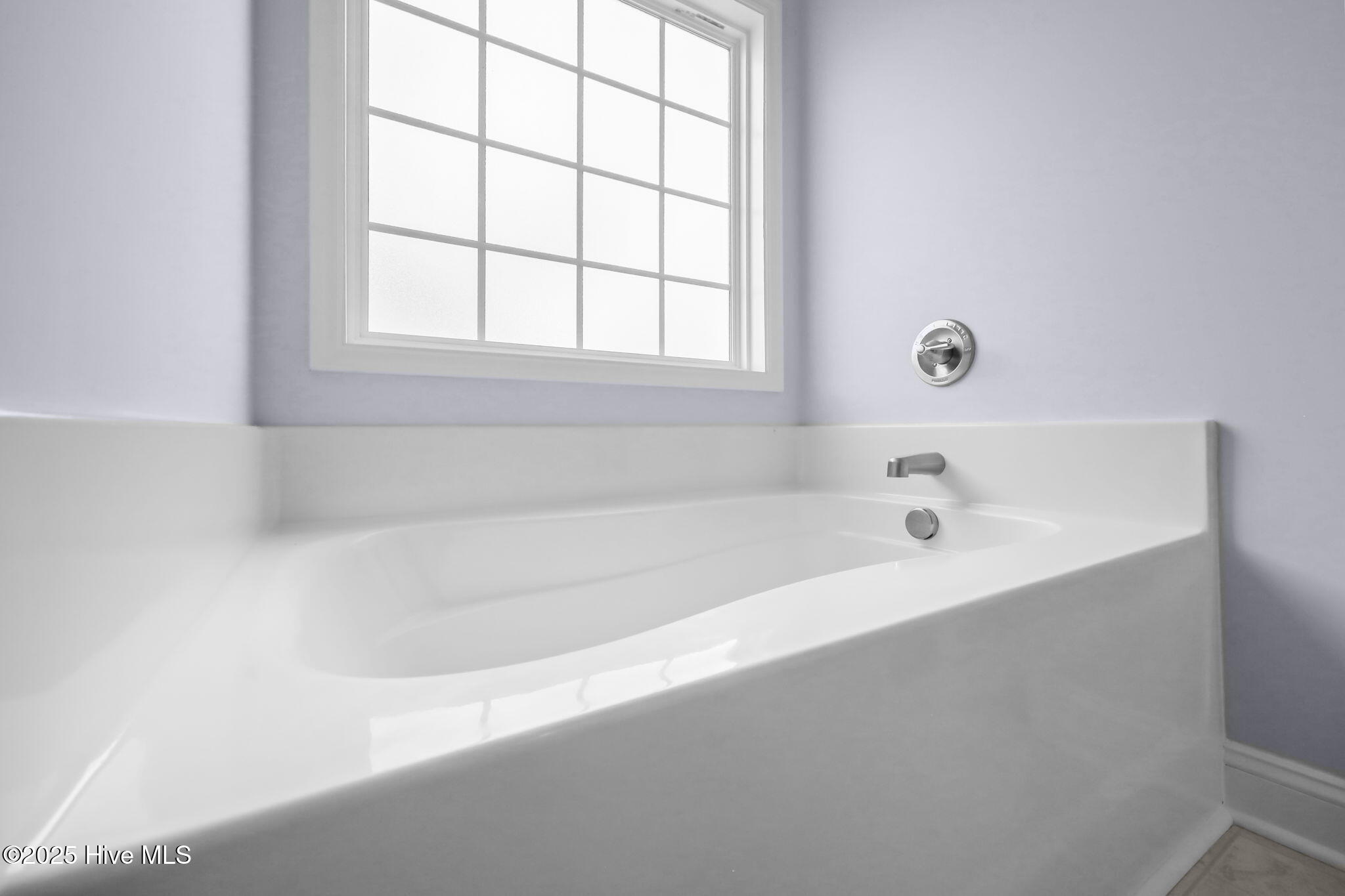 100519667 | Photo 18