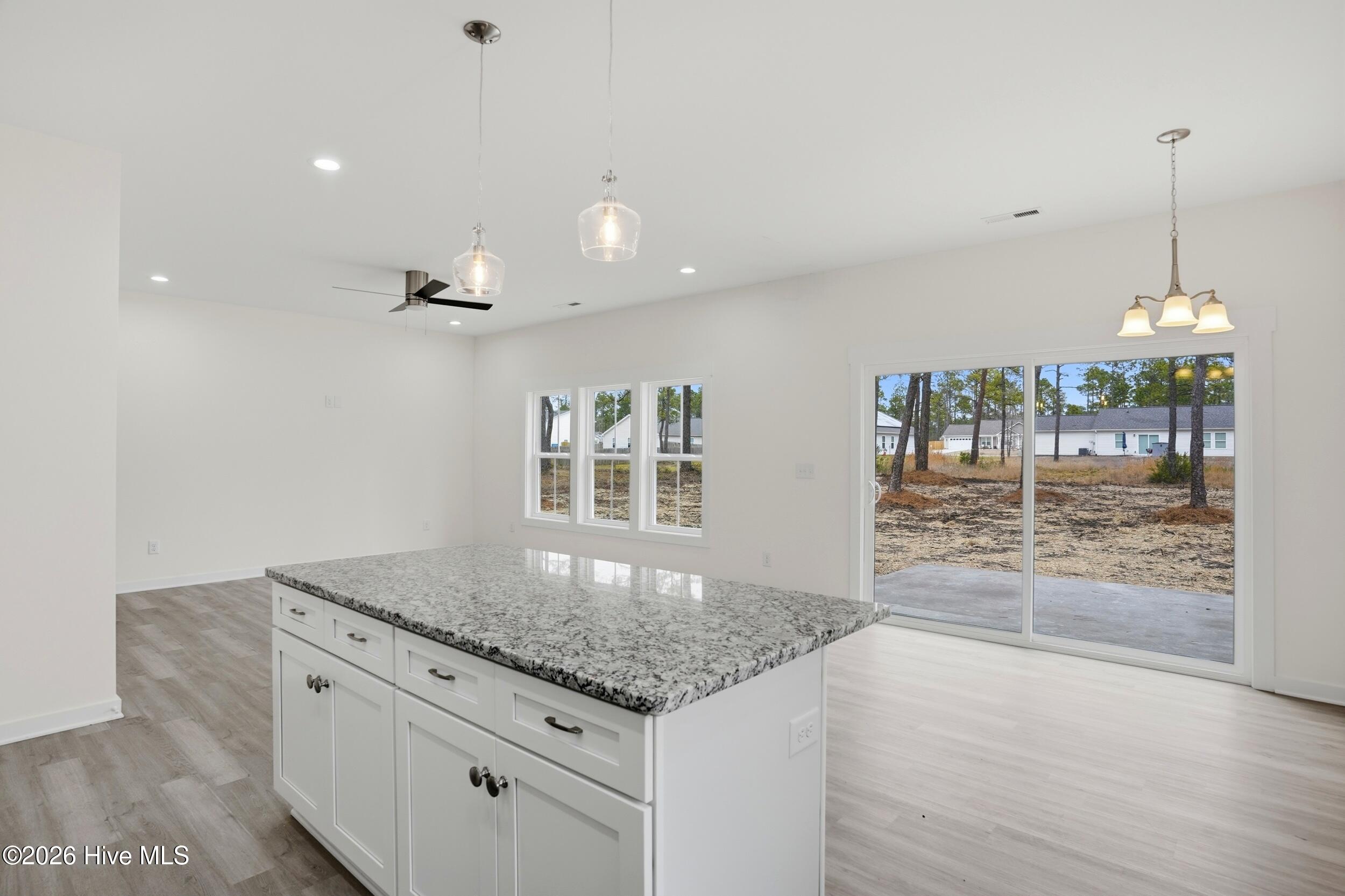 100558346 | Photo 18