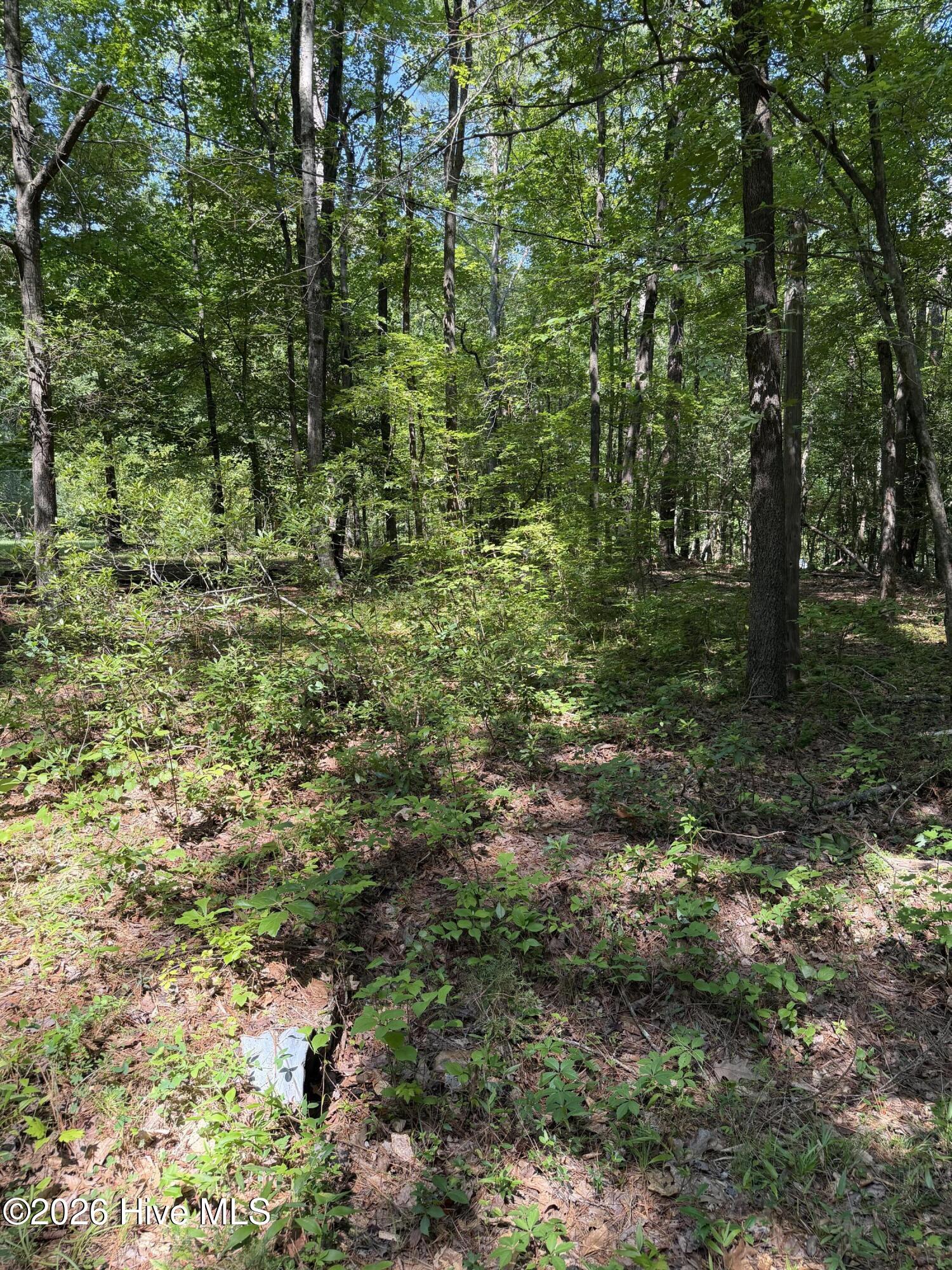 Exterior photo of 153 Omaha Drive, Louisburg, NC 27549. MLS: 100587560