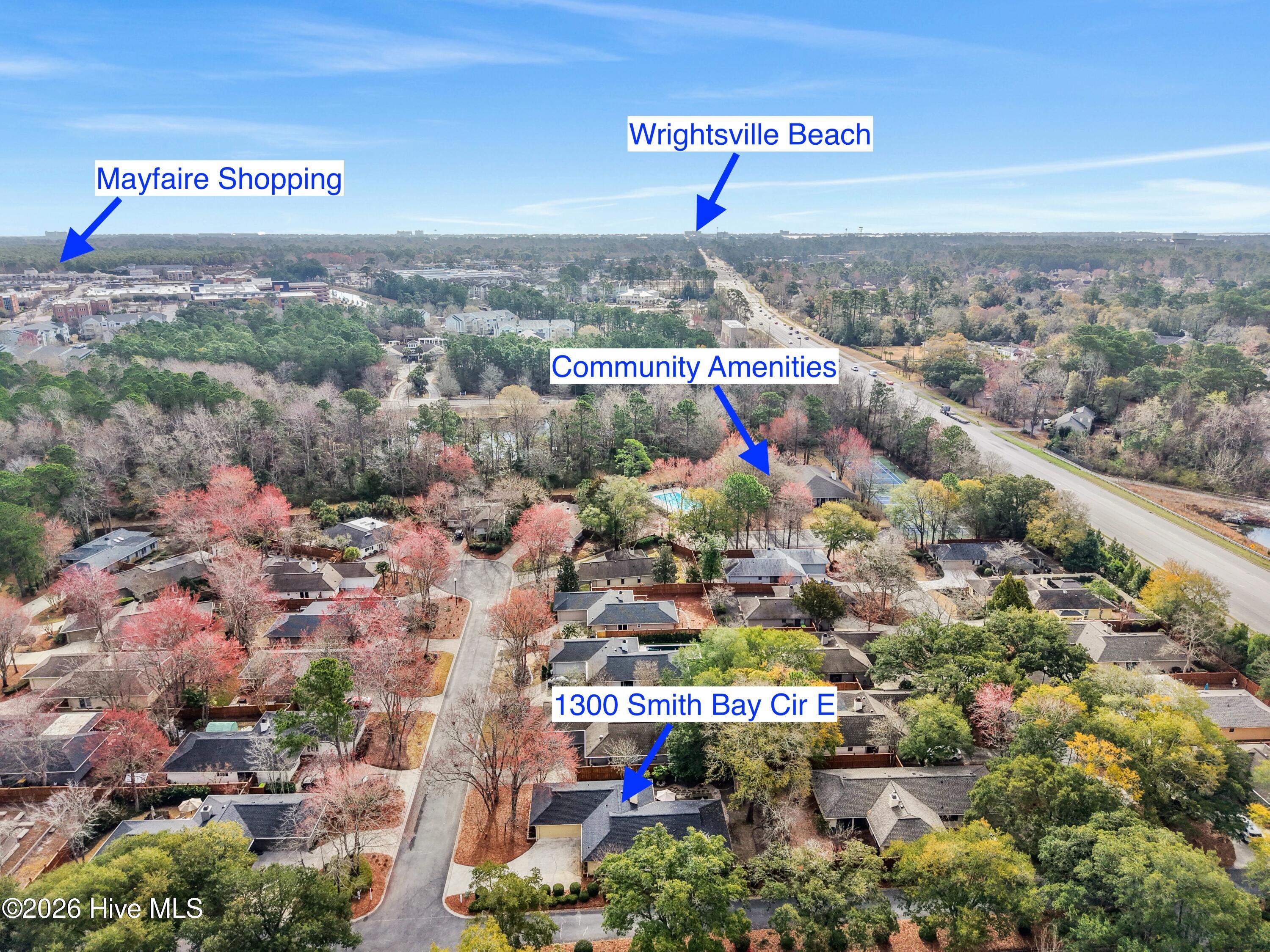 100558002 | Photo 43