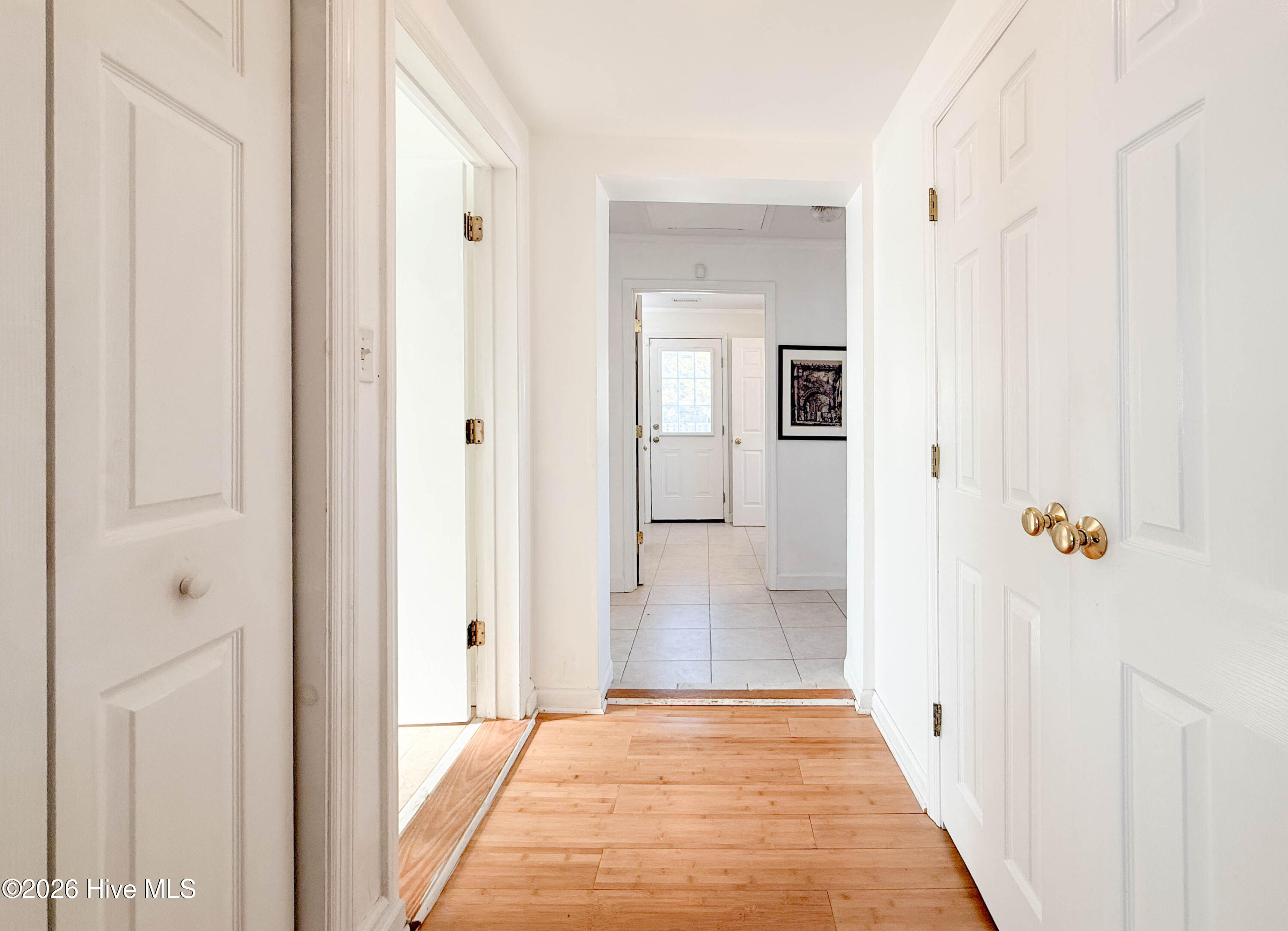 100556451 | Photo 20