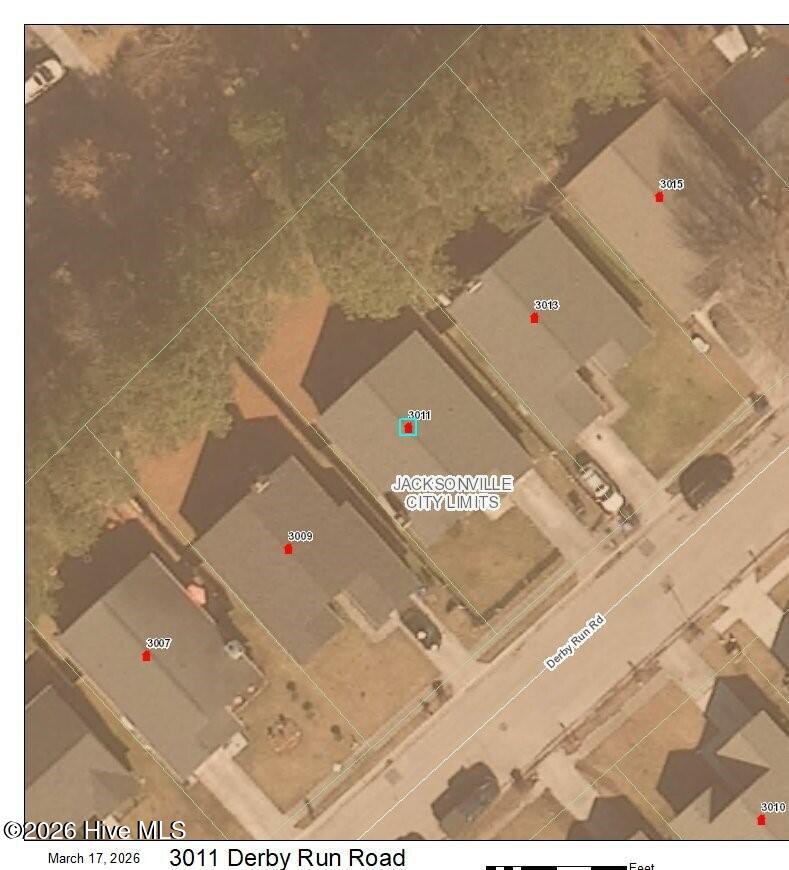 100559065 | Photo 38