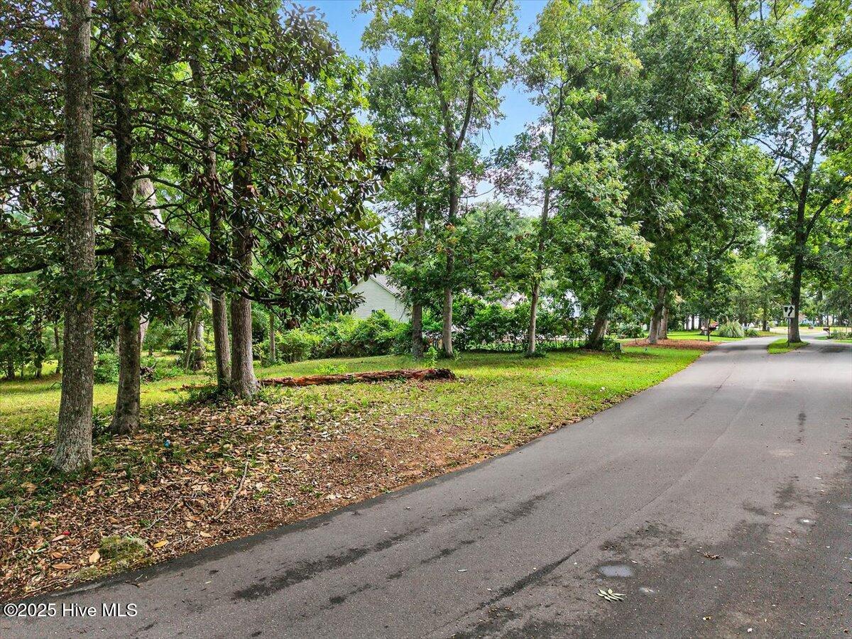 100481570 | Photo 24