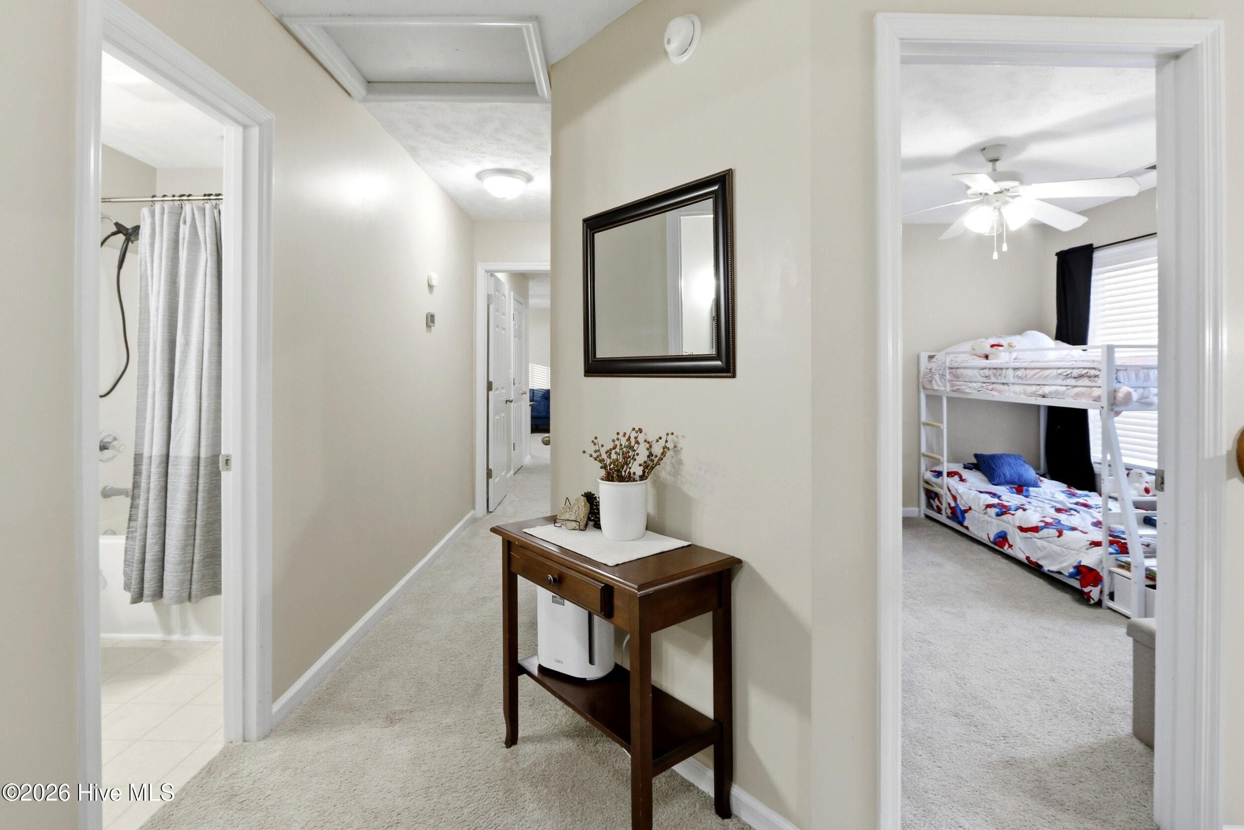 100551374 | Photo 39