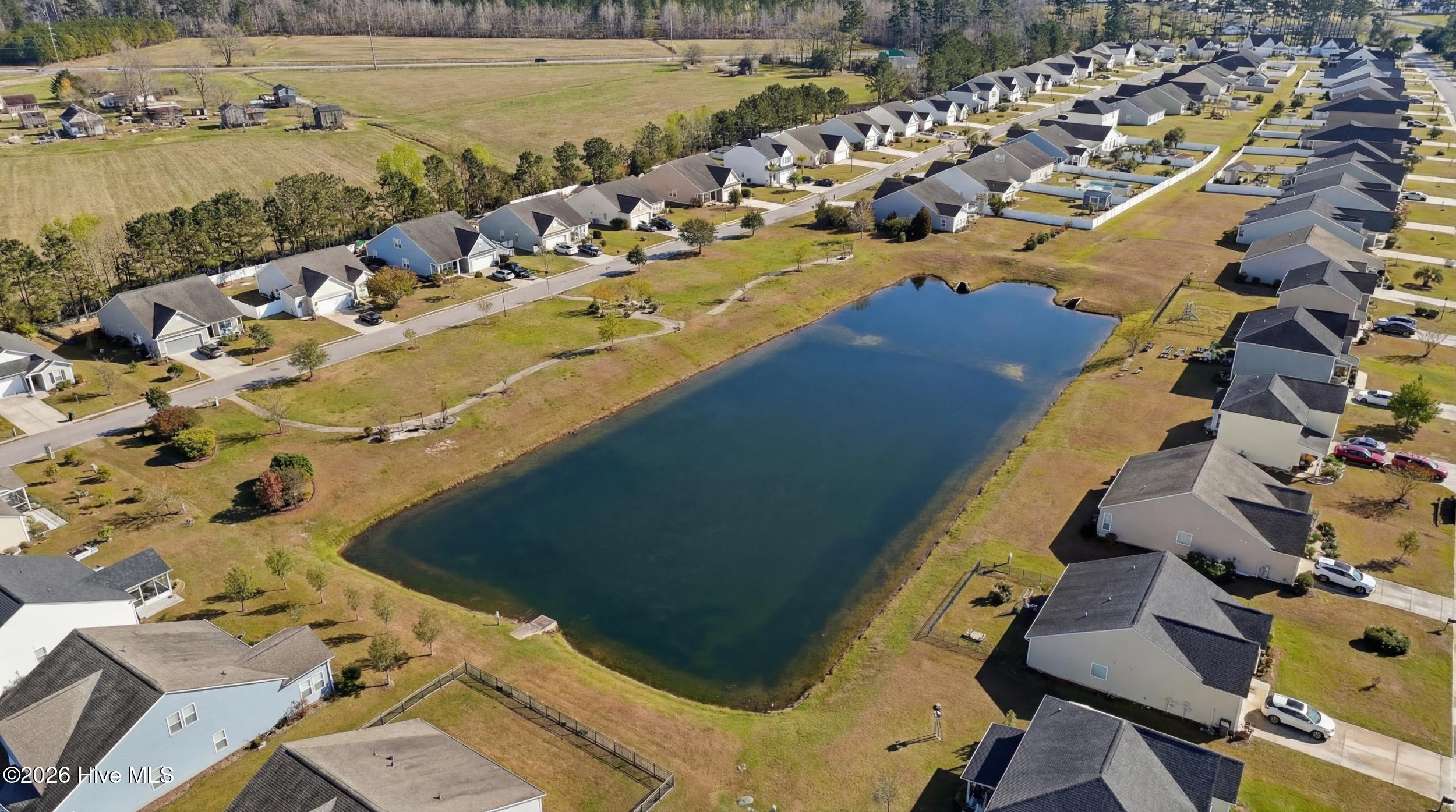 100552958 | Photo 35