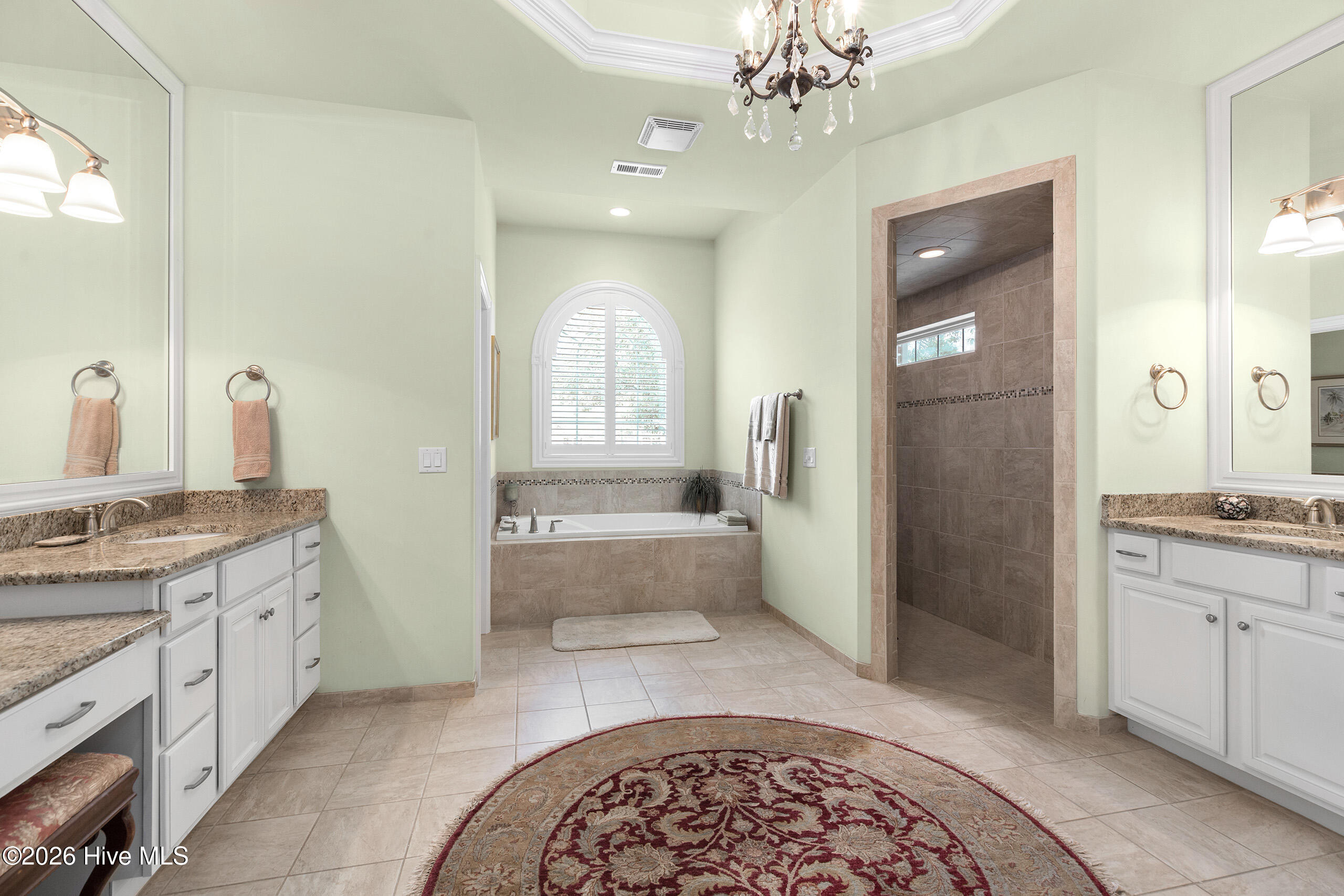 100563471 | Photo 29