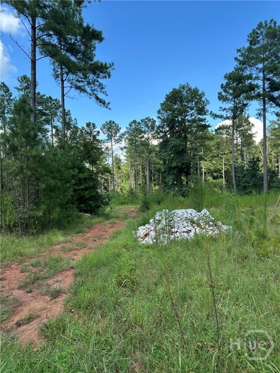 00 Fears, Madison, GA, 30650