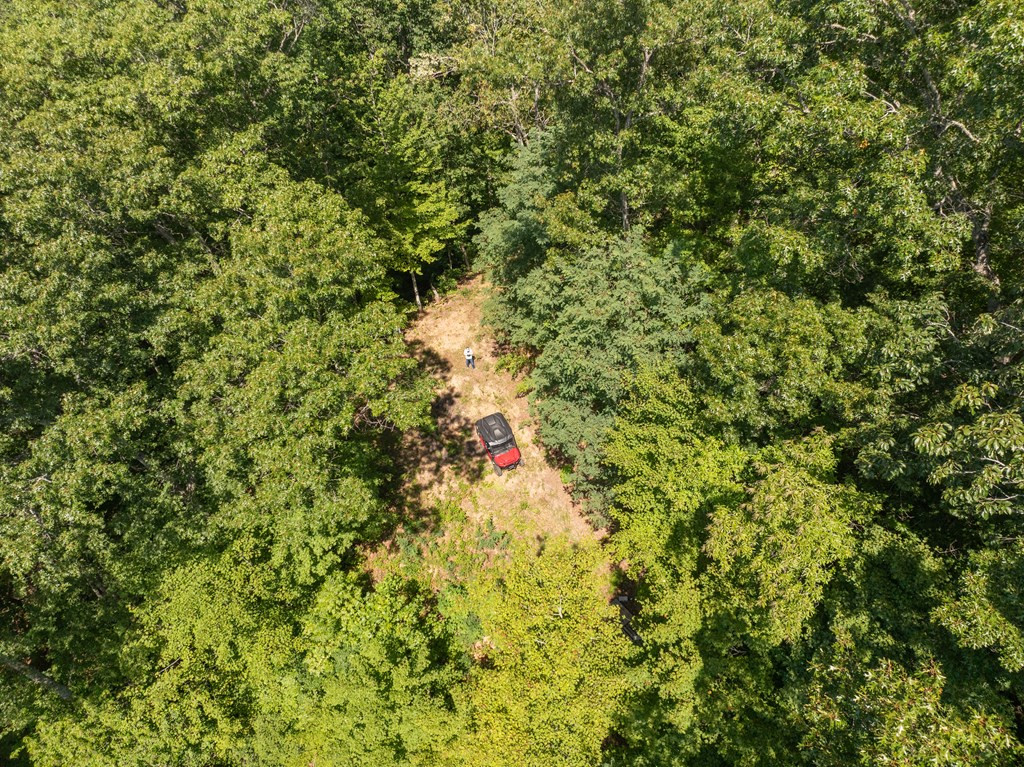 Exterior photo of 9999 Cindy Cove Trail, Robbinsville, NC 28771. MLS: 98543843