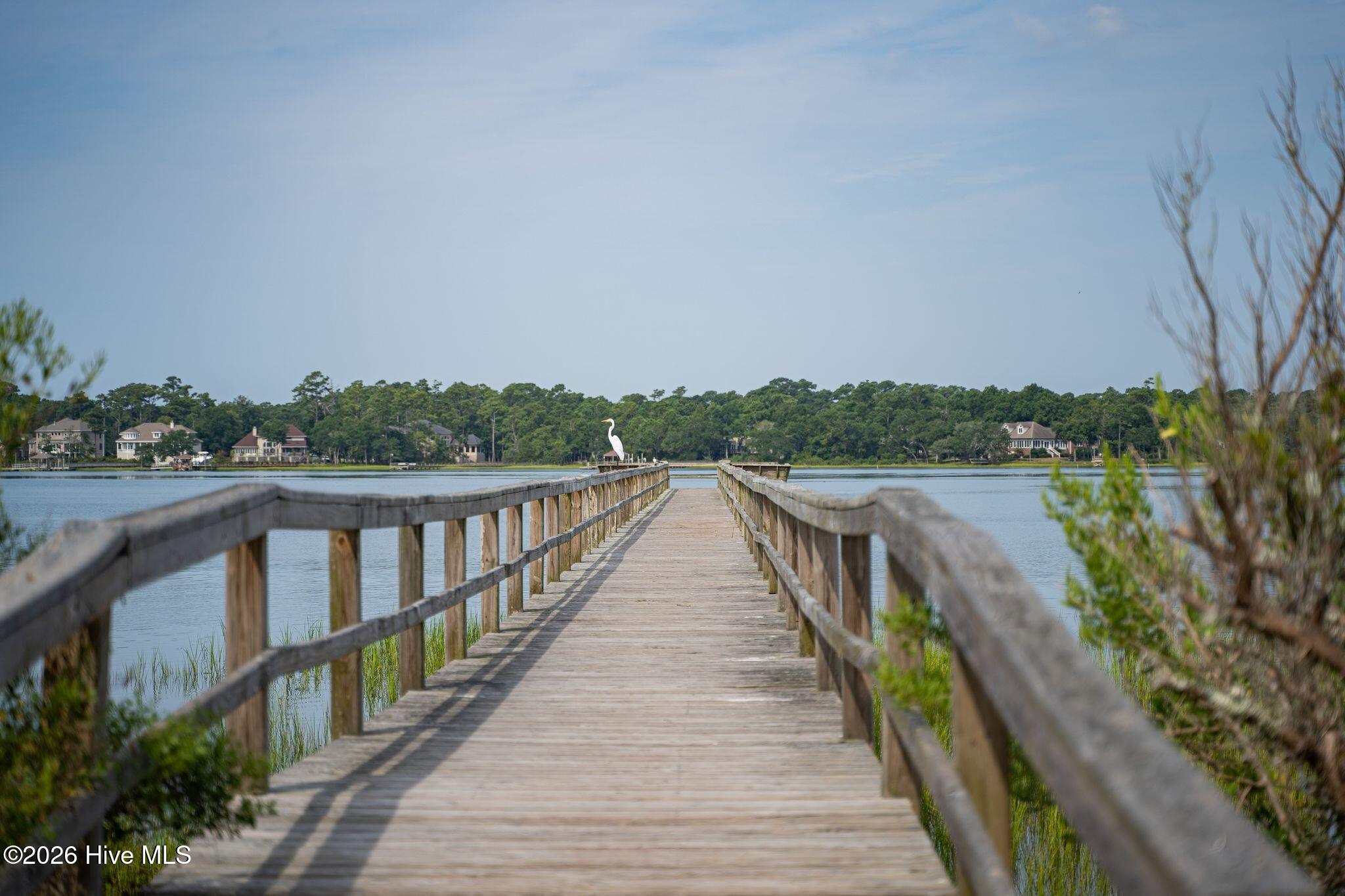 100563683 | Photo 38