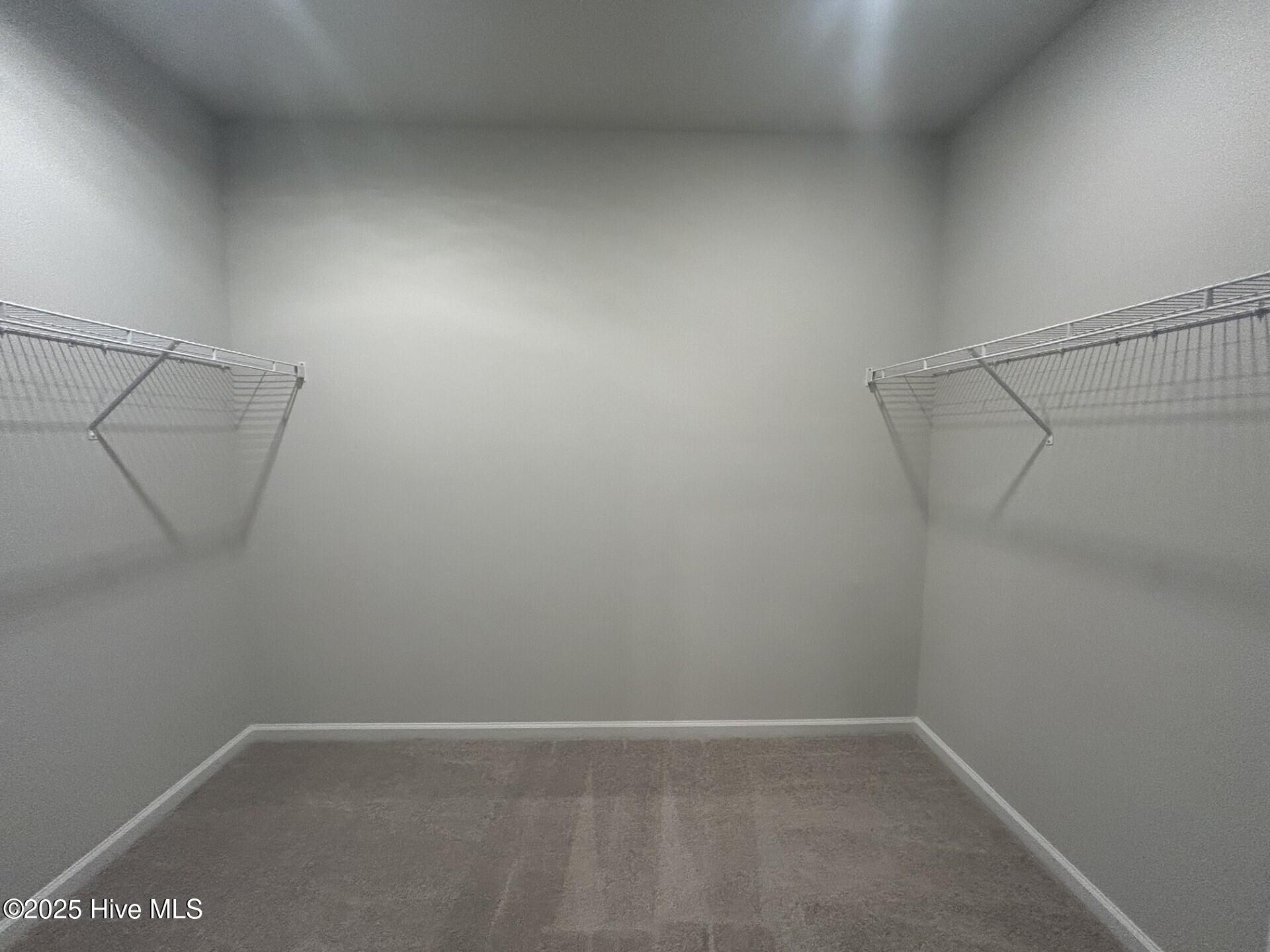 100525039 | Photo 29