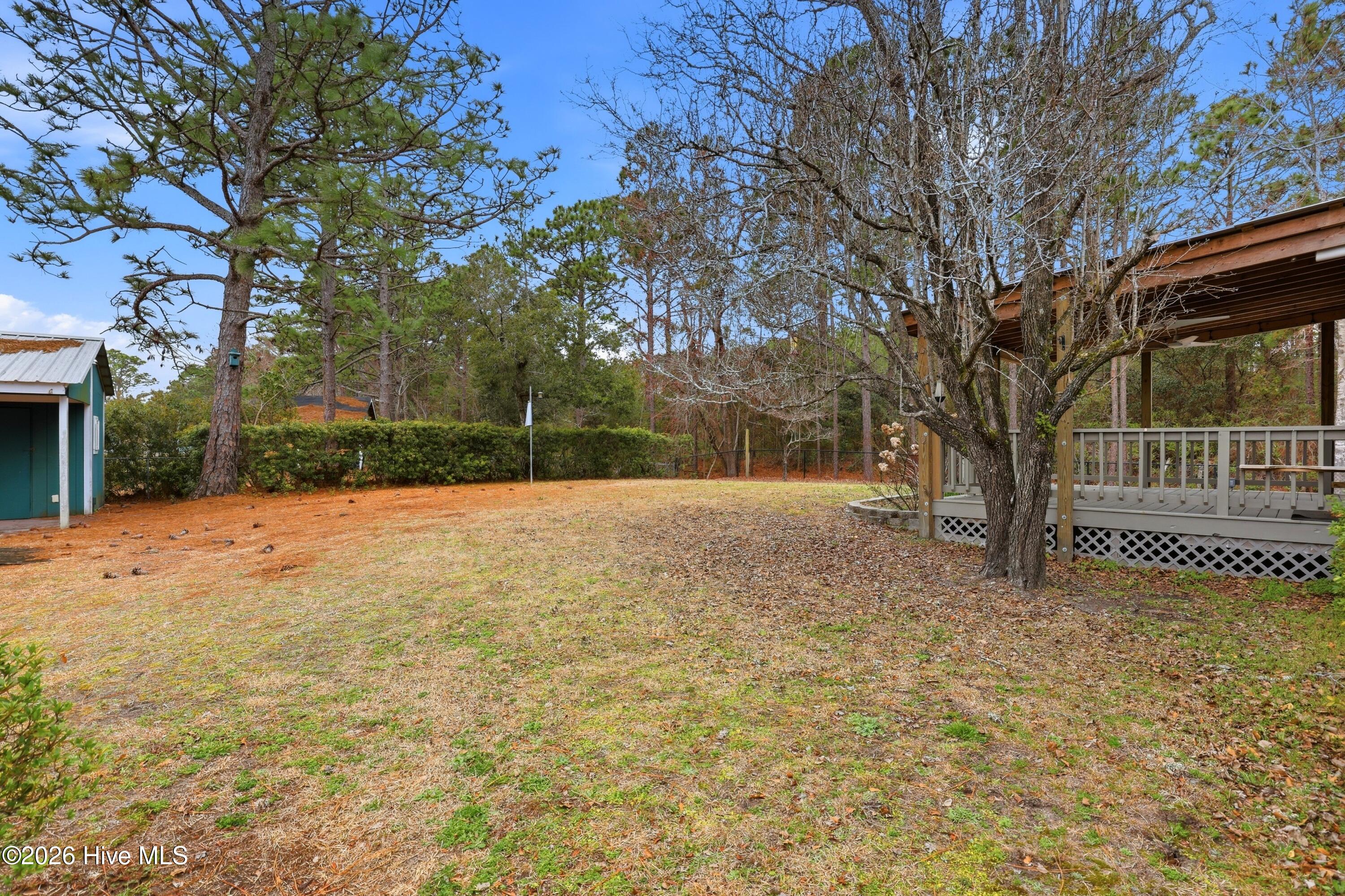 100553315 | Photo 29