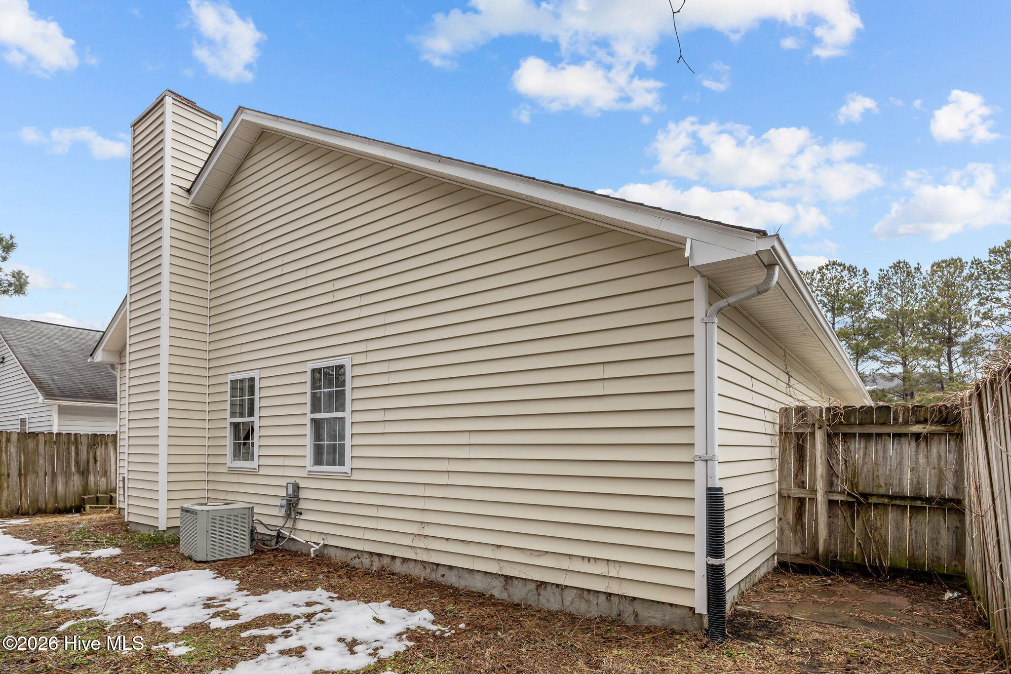 100553131 | Photo 32