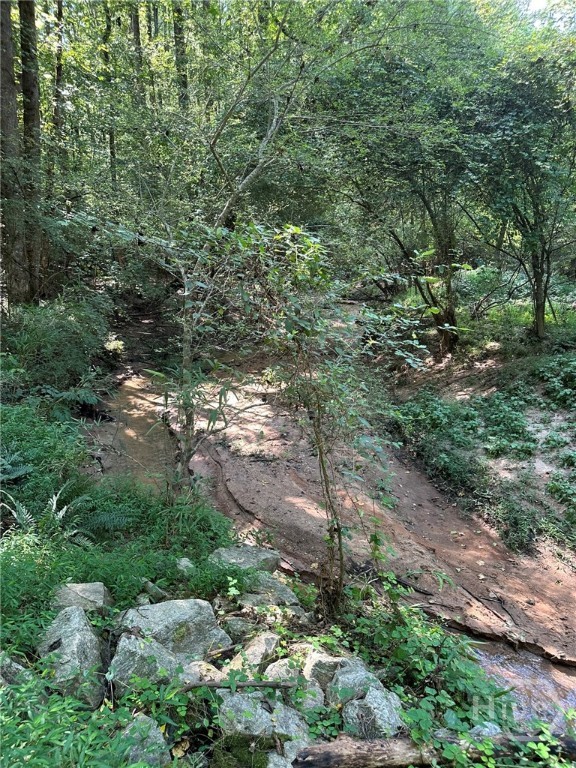 00 Fears, Madison, GA, 30650