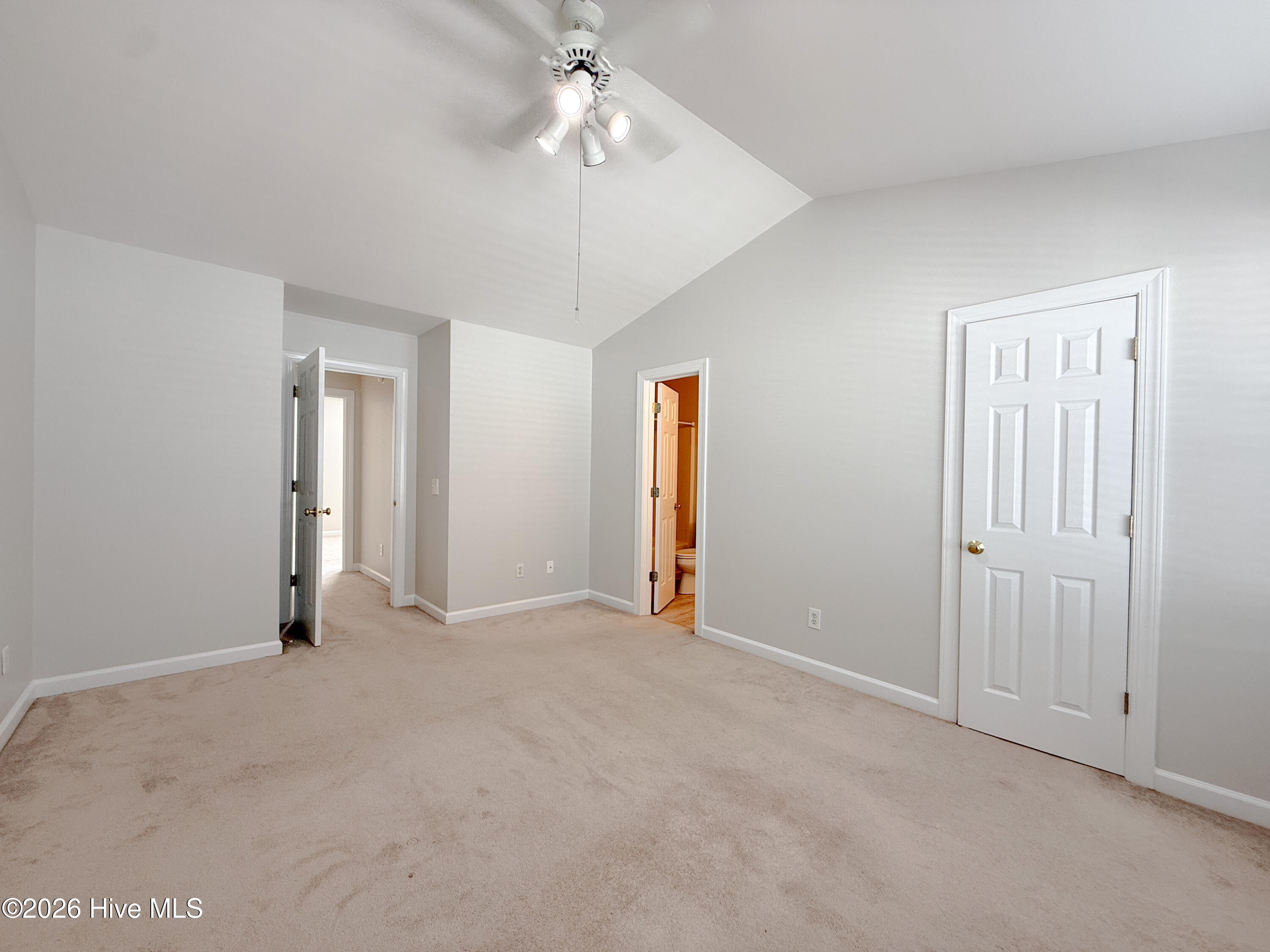 100565370 | Photo 40