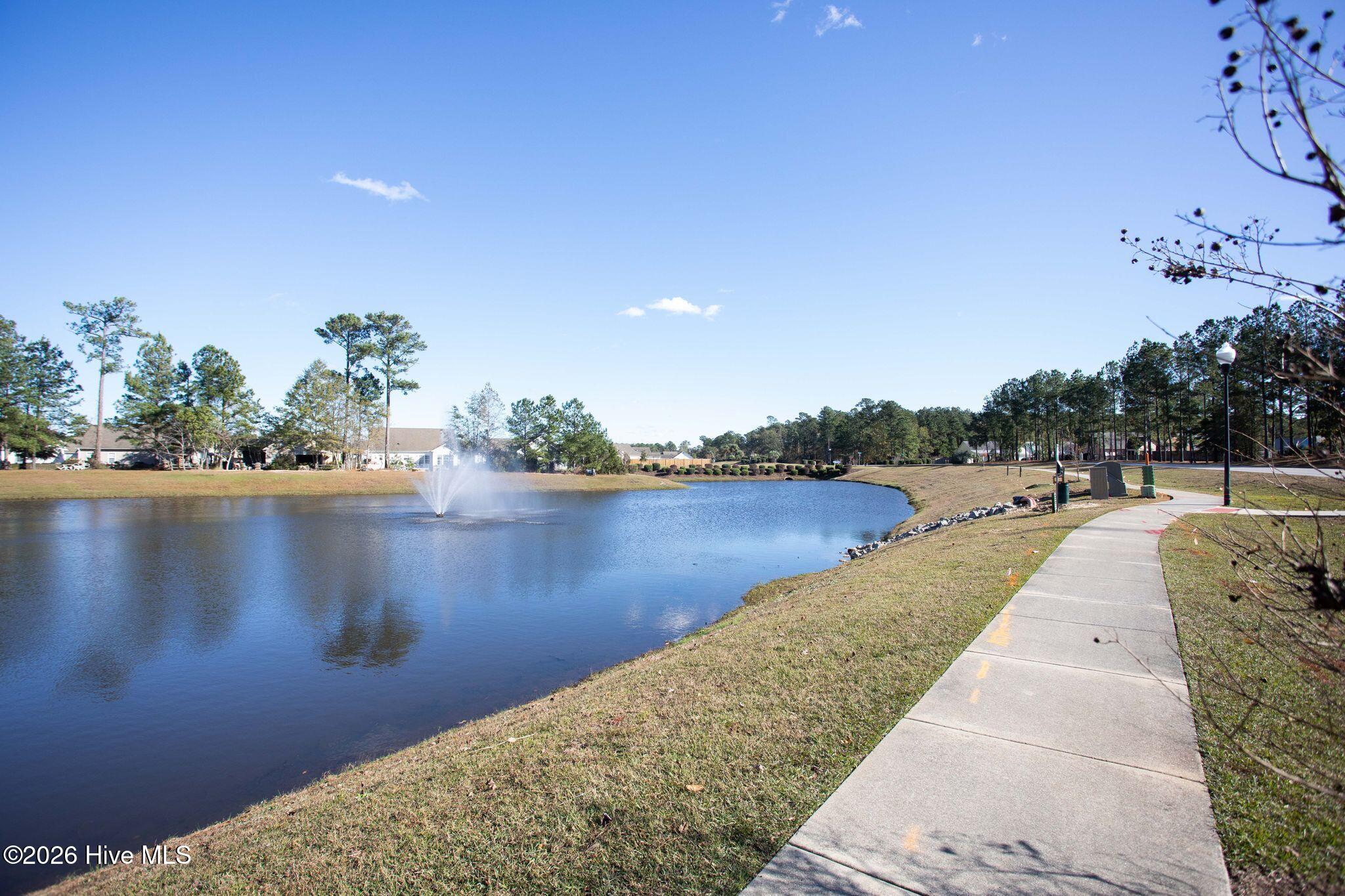 100562900 | Photo 52