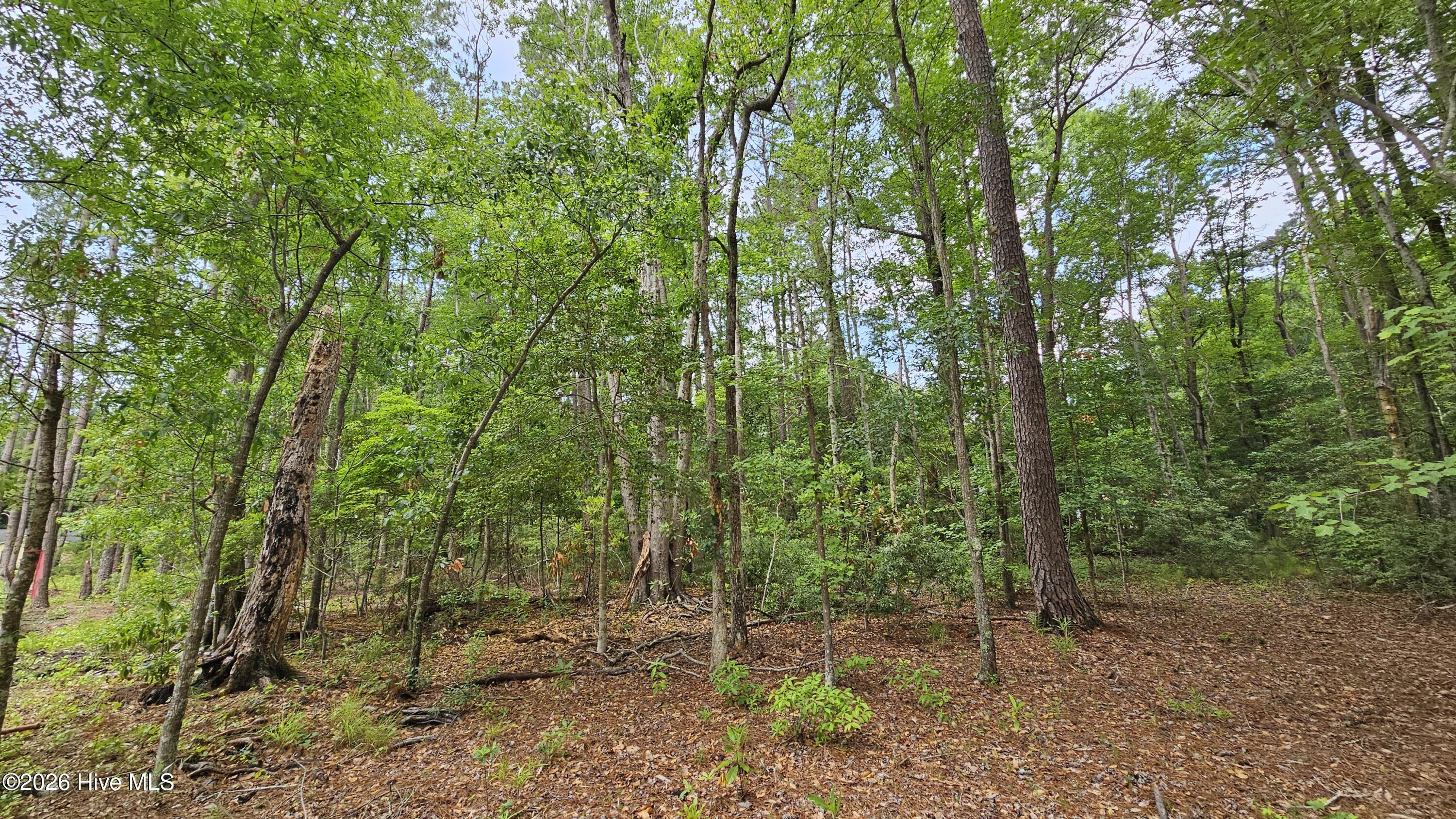 100553650 | Photo 11