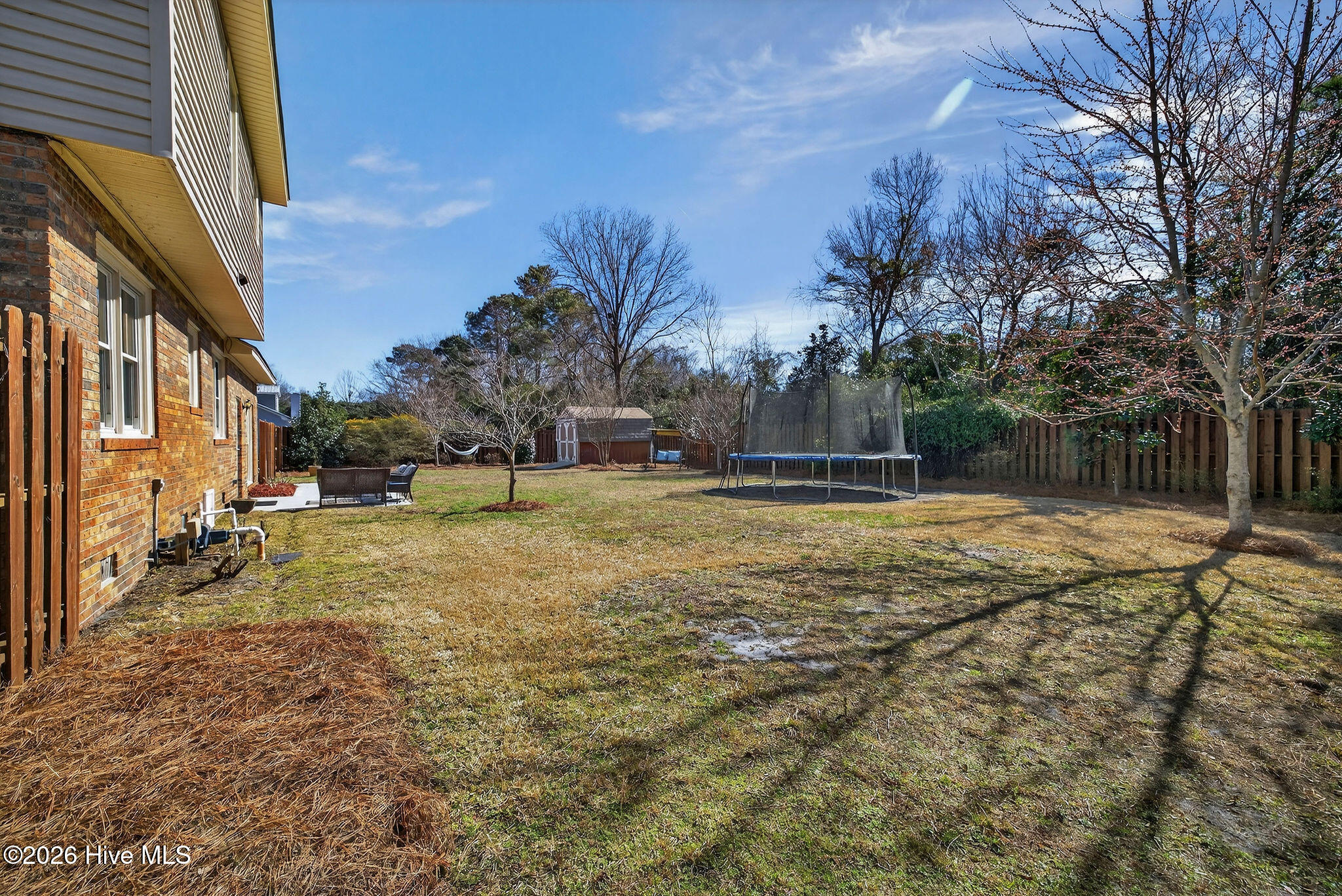 100556814 | Photo 29