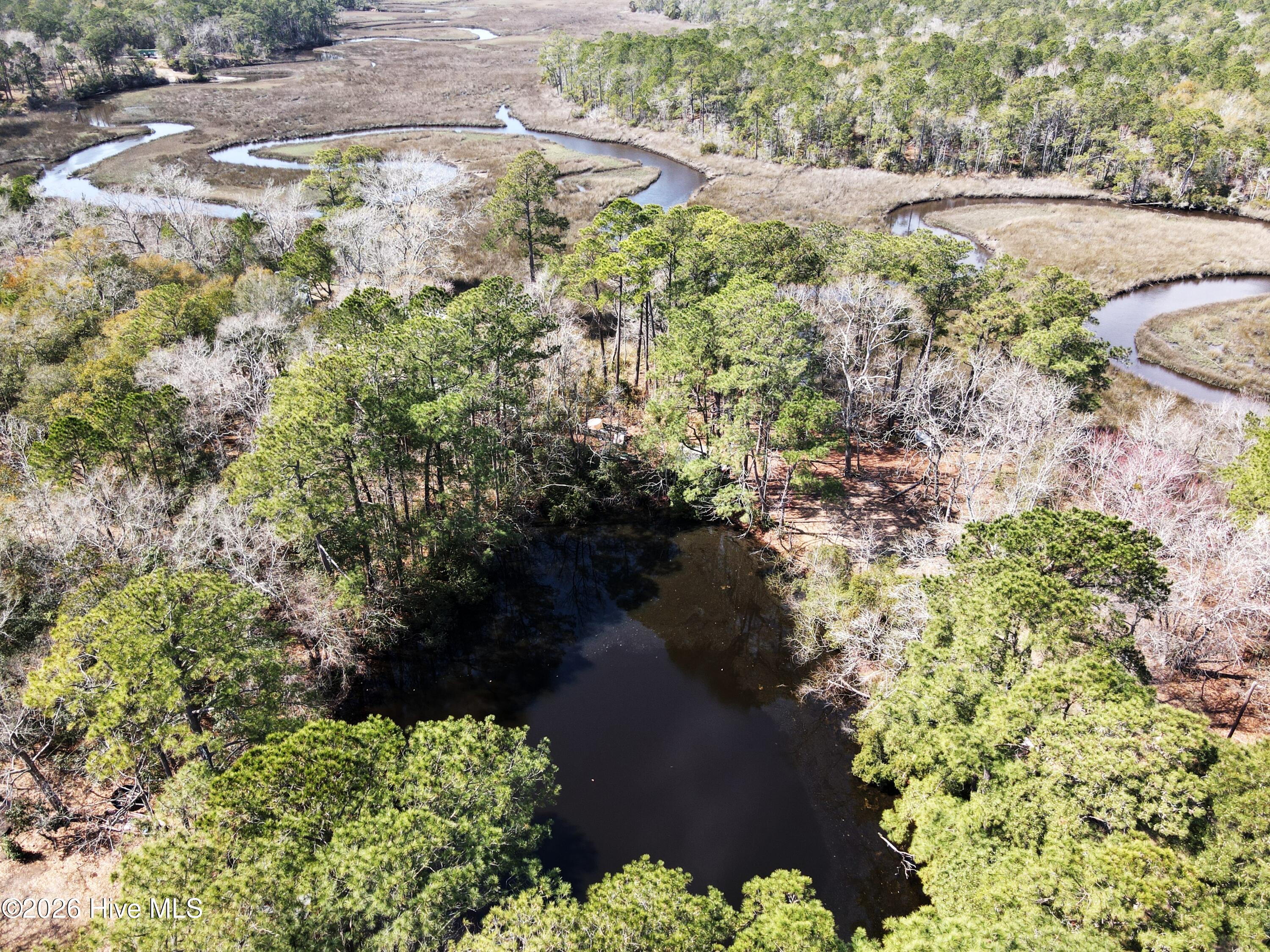 100543289 | Photo 56